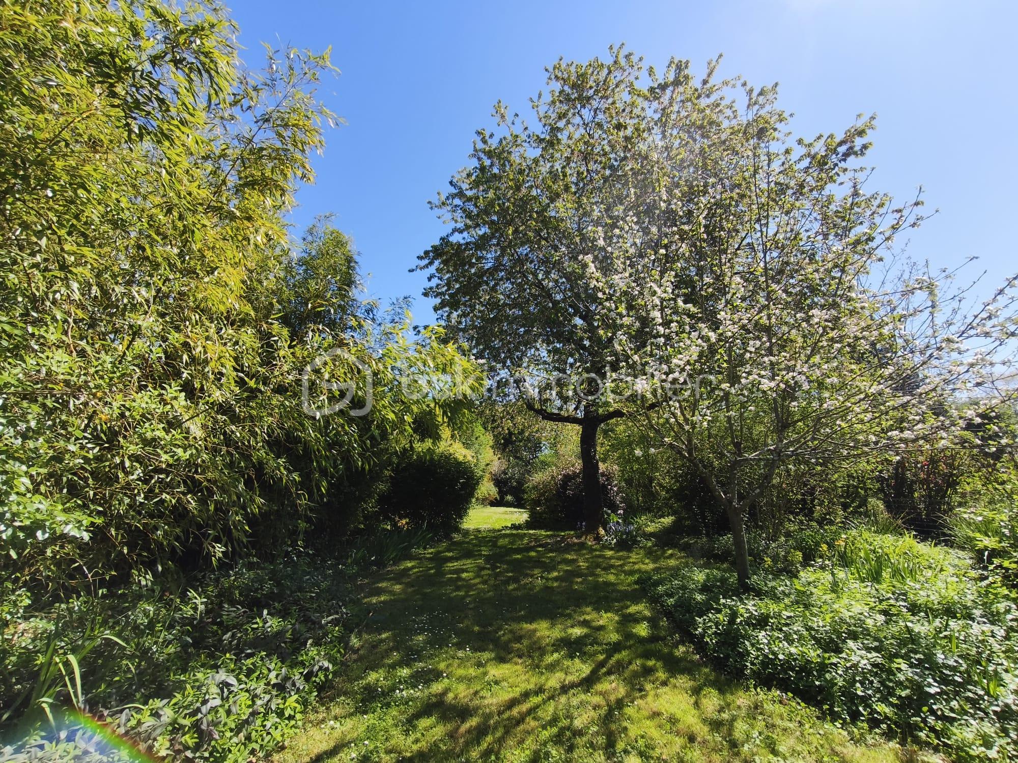 WhatsApp Image 2026-04-08 at 17.34.22 (10).jpeg