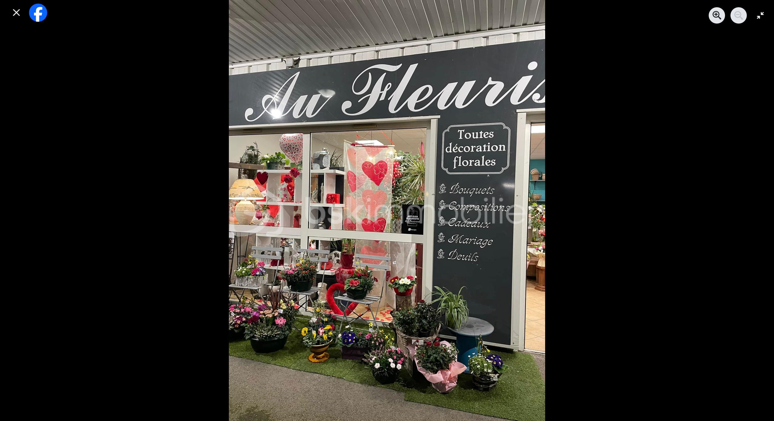 Fonds de commerce - VITRR.png