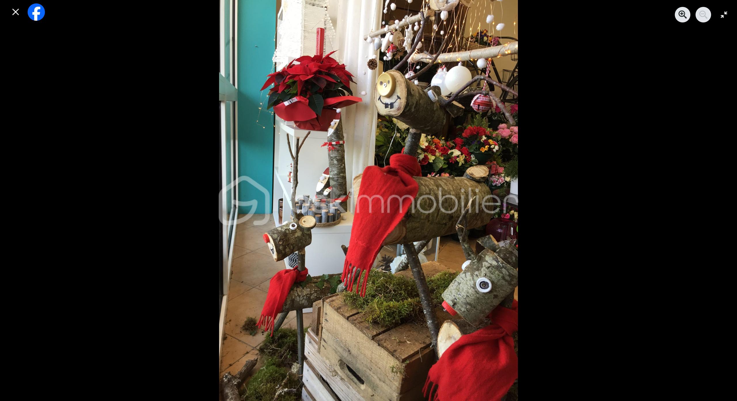 Fonds de commerce - NOEL.png