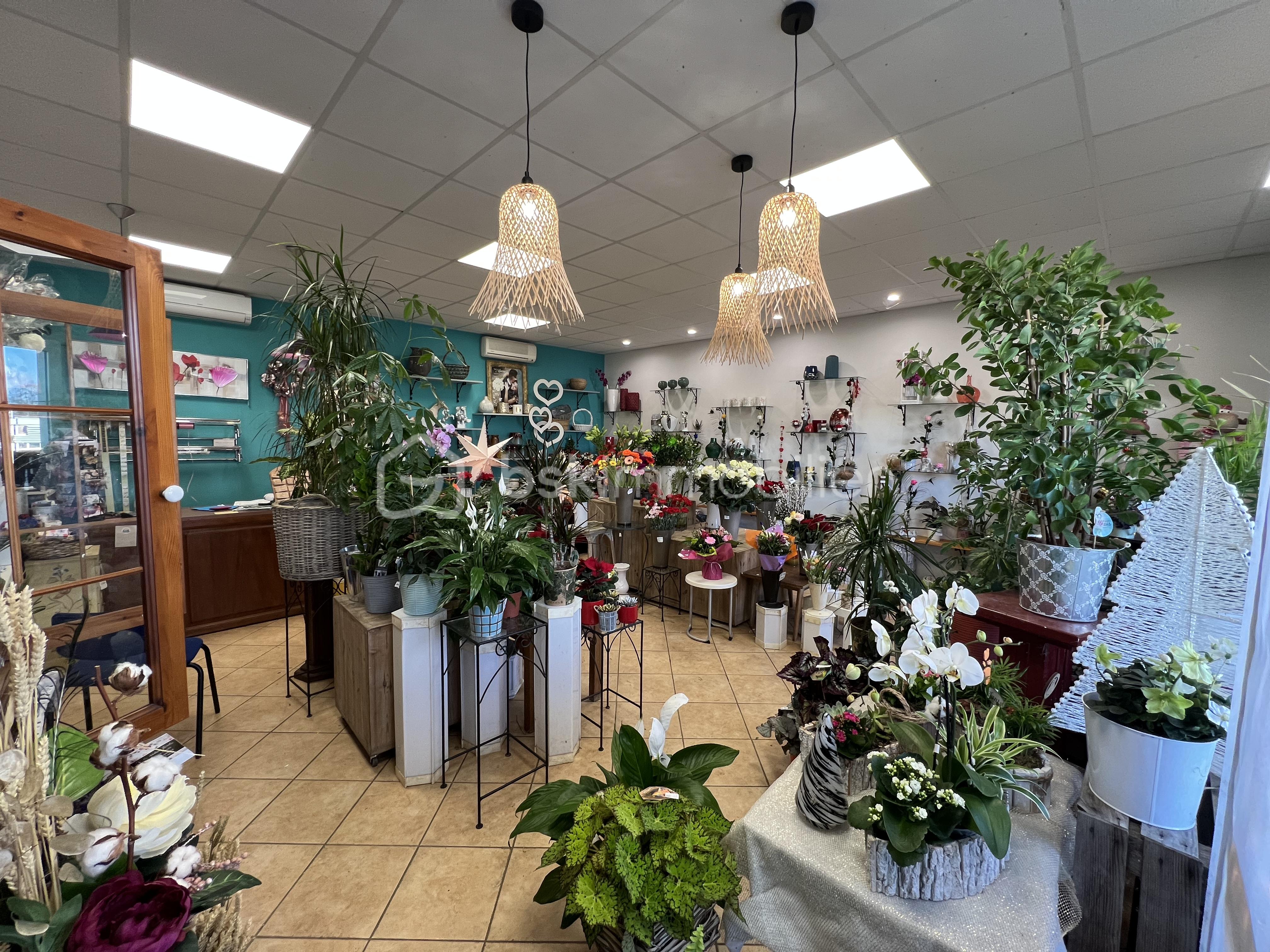 Fonds de commerce - tempImageeyGAJ7.png