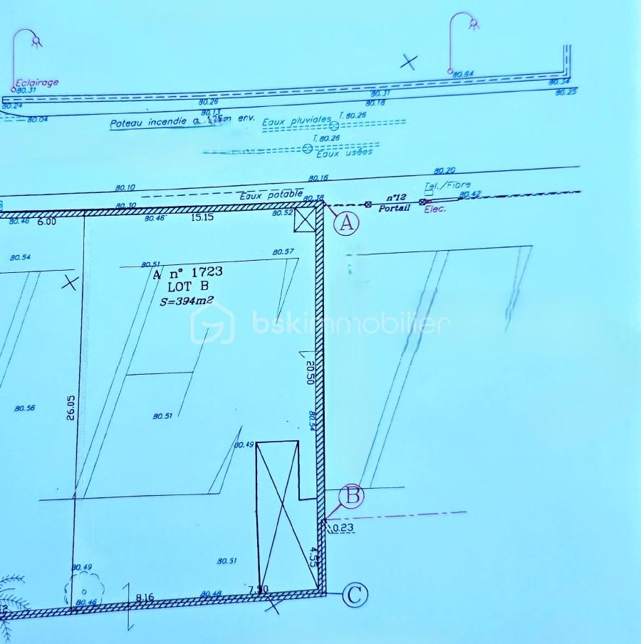 Terrain de 394 m² - plan de bornage leudeville.jpg