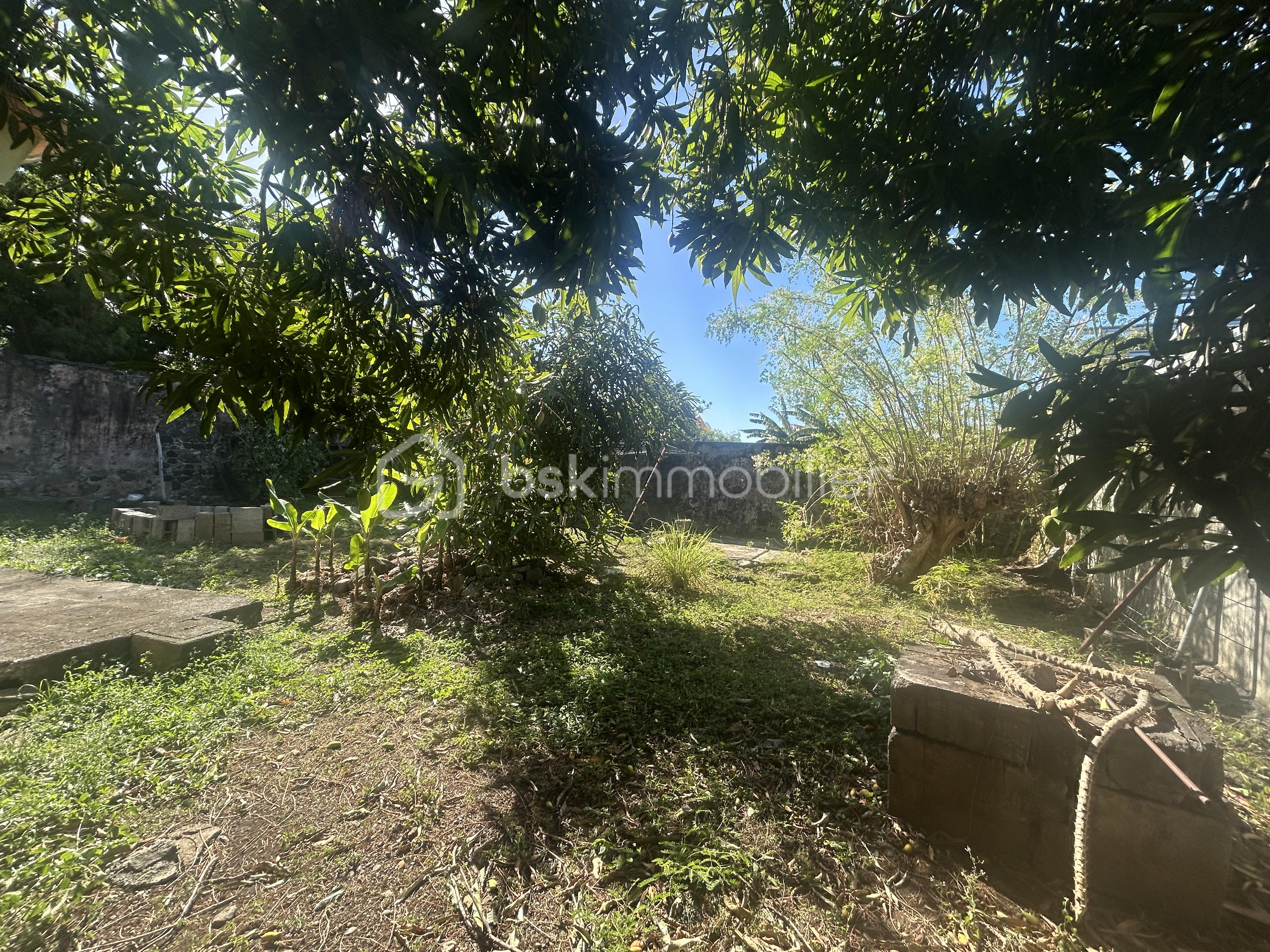 IMG_1497.jpeg