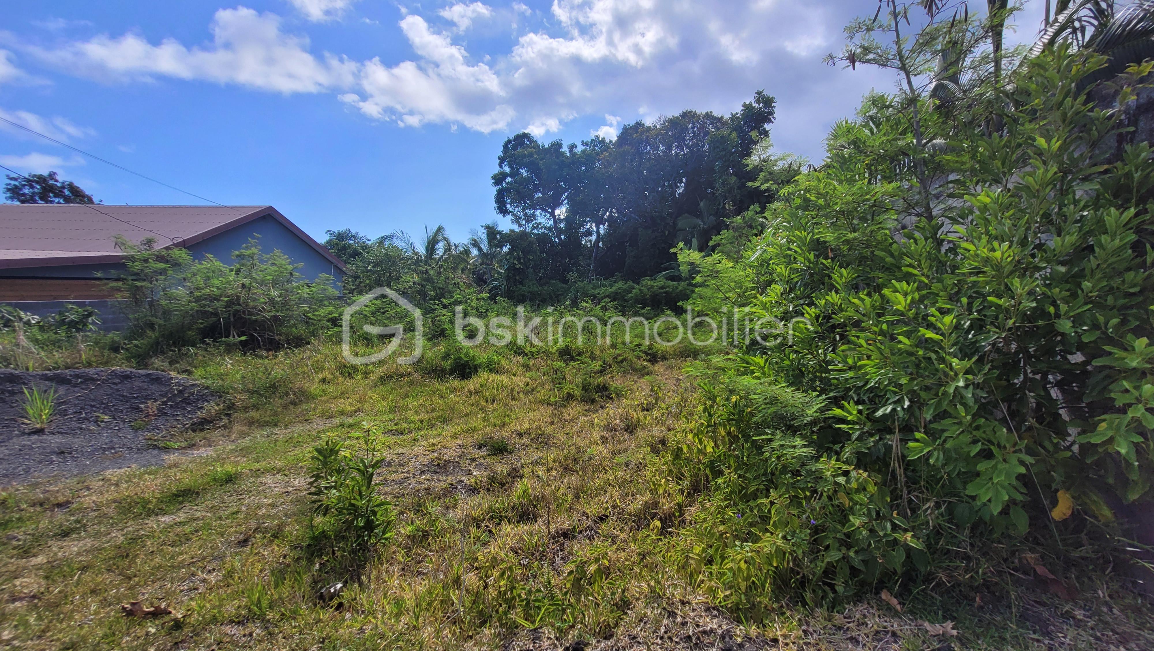 Terrain de 784 m² - 223126-04.jpg