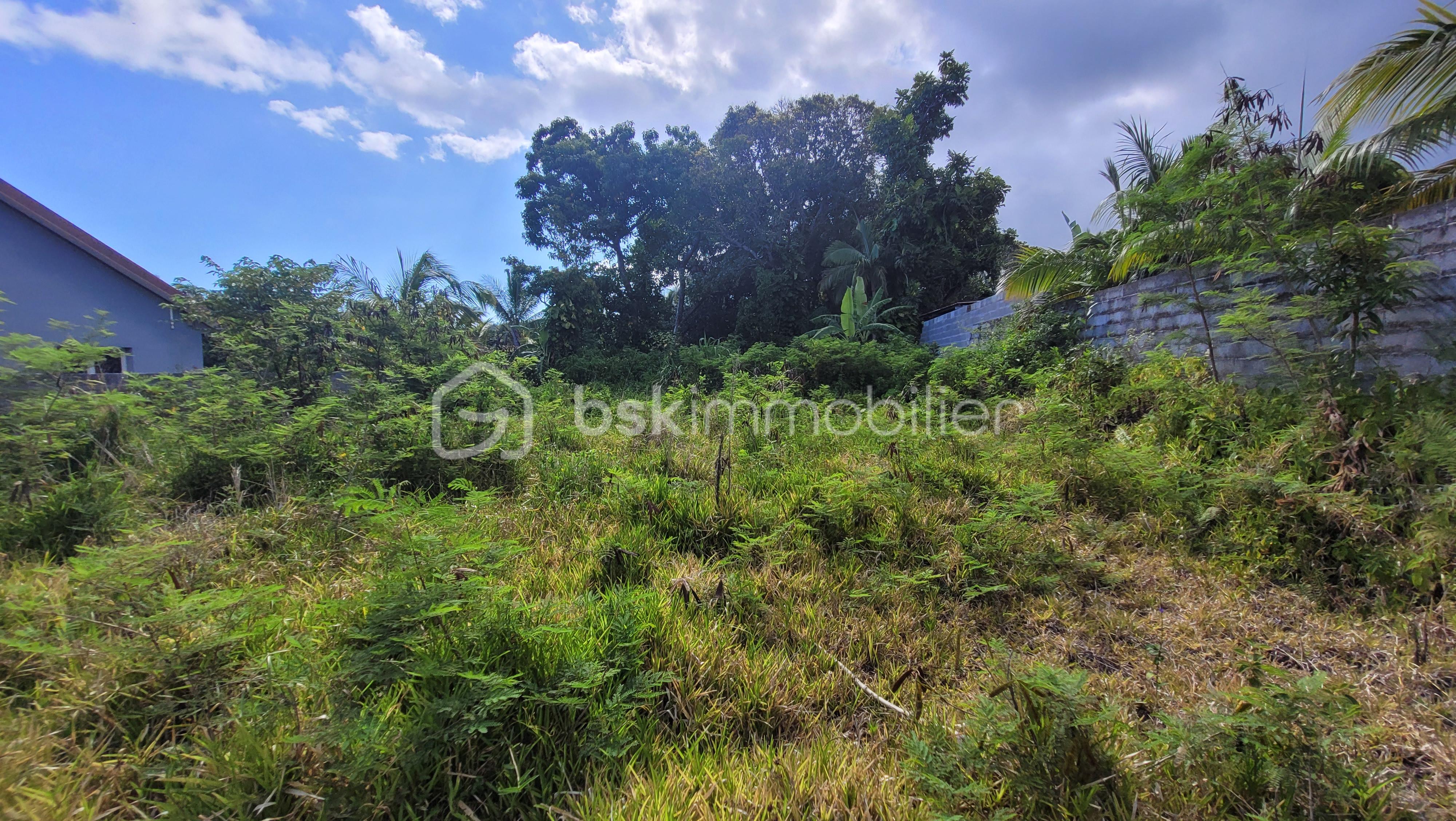 Terrain de 784 m²