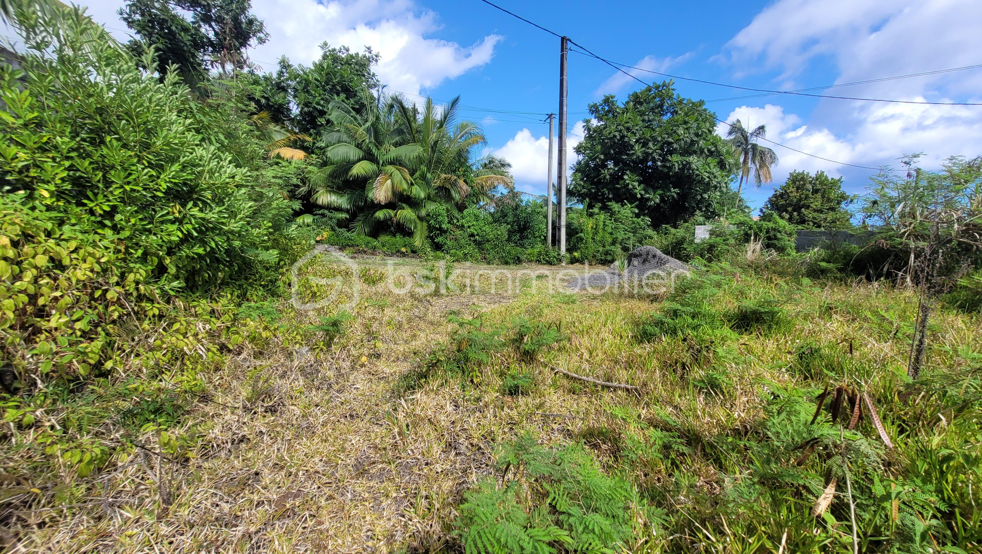 Terrain de 784 m² - 223126-03.jpg