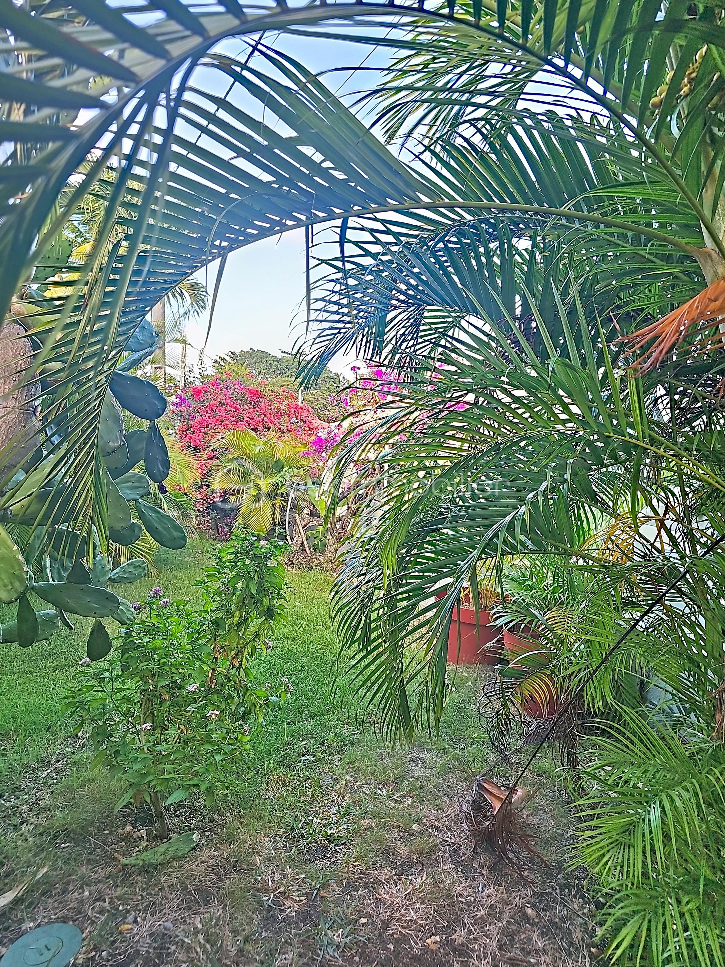 salgueiro_00048.jpg