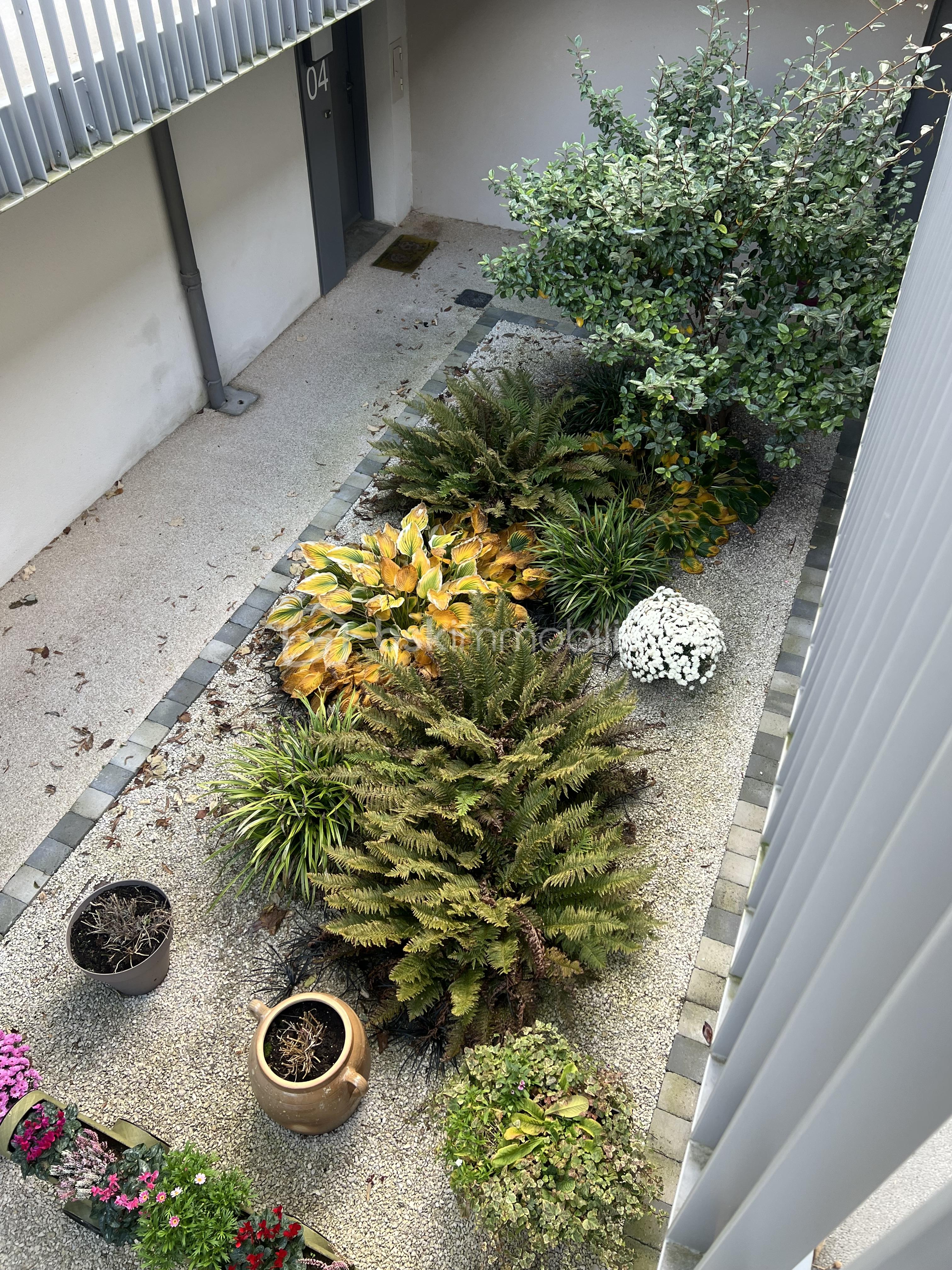 Appartement de 49,50 m² - IMG_2884.jpeg