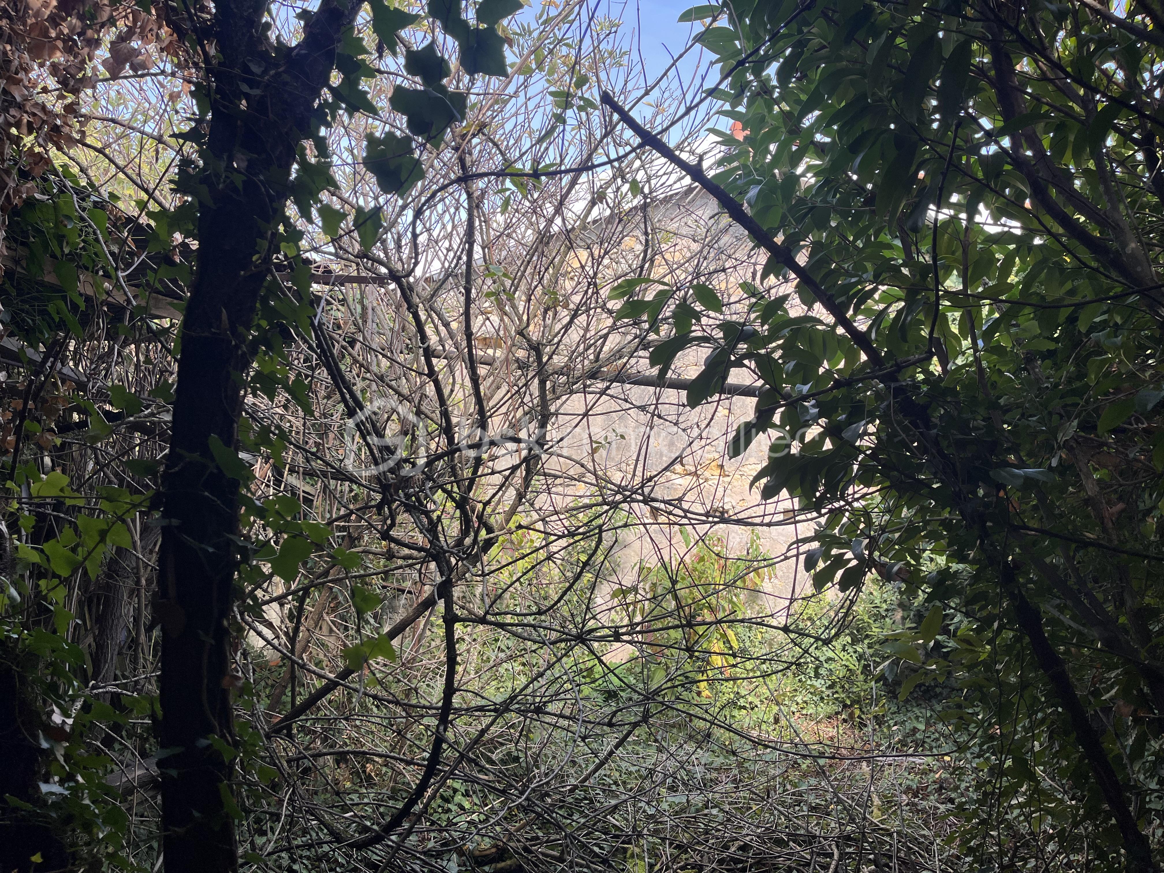 IMG_4200.jpeg