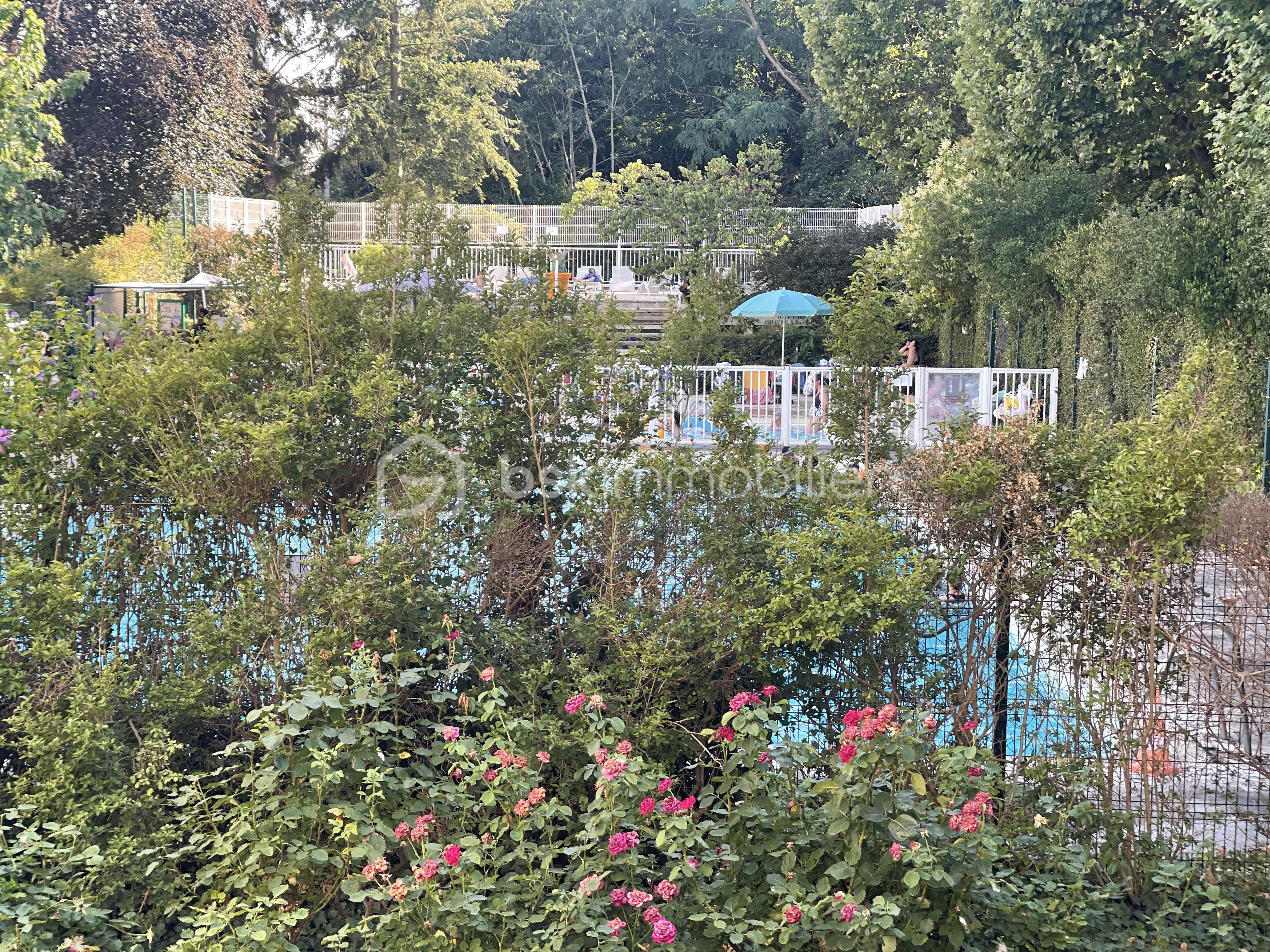 IMG_9596.jpeg