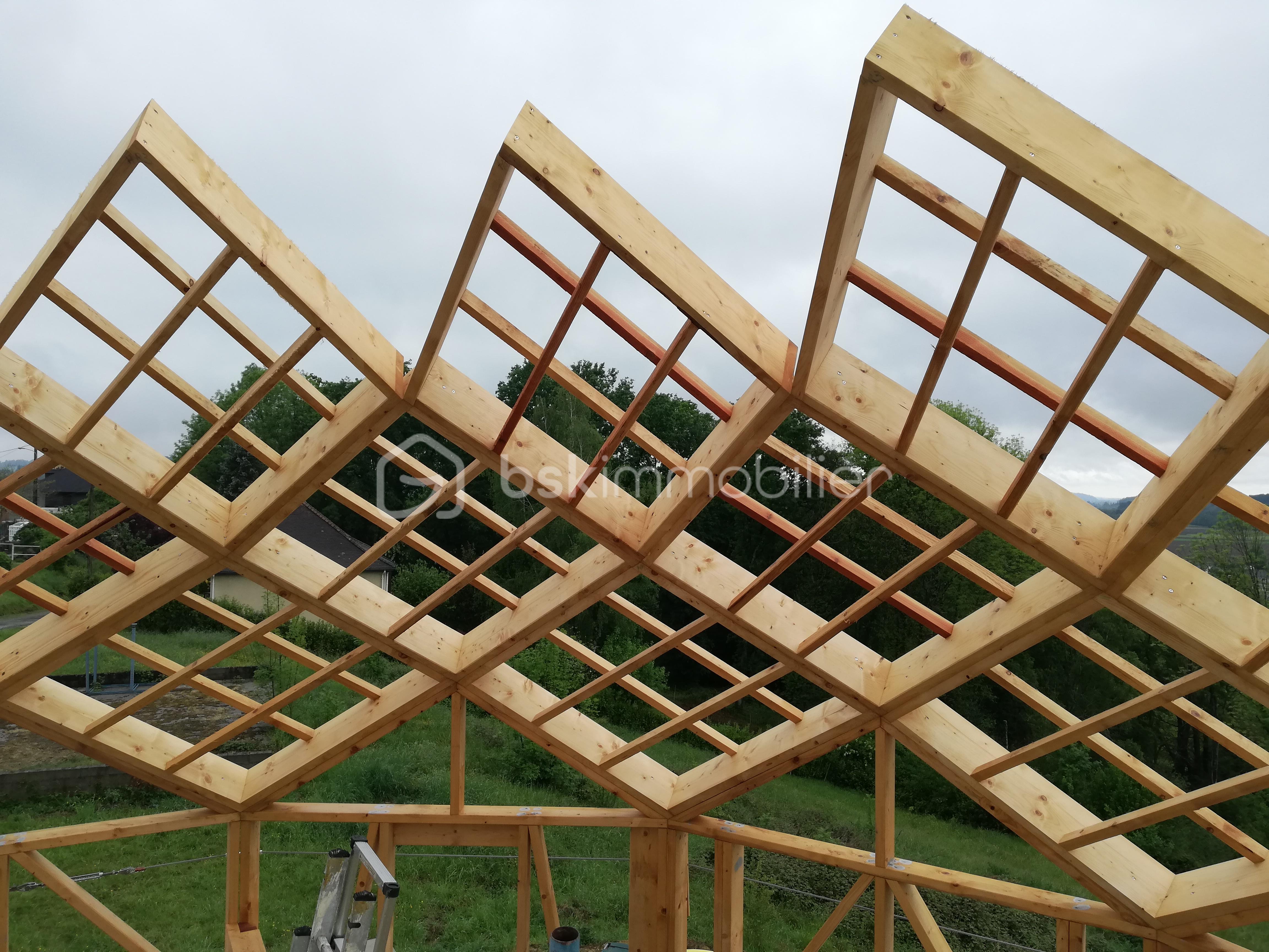 2. premiers losanges2.jpg