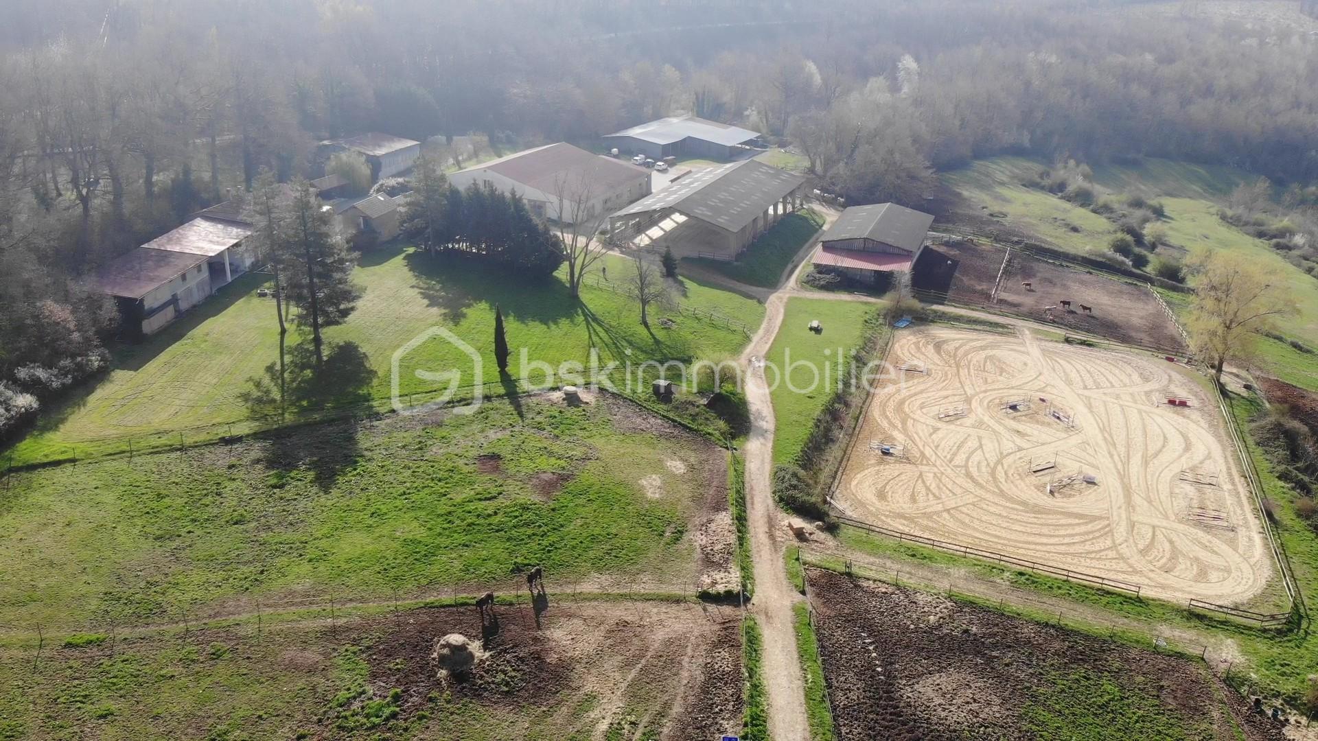 DJI_0164 - frame at 0m38s.jpg