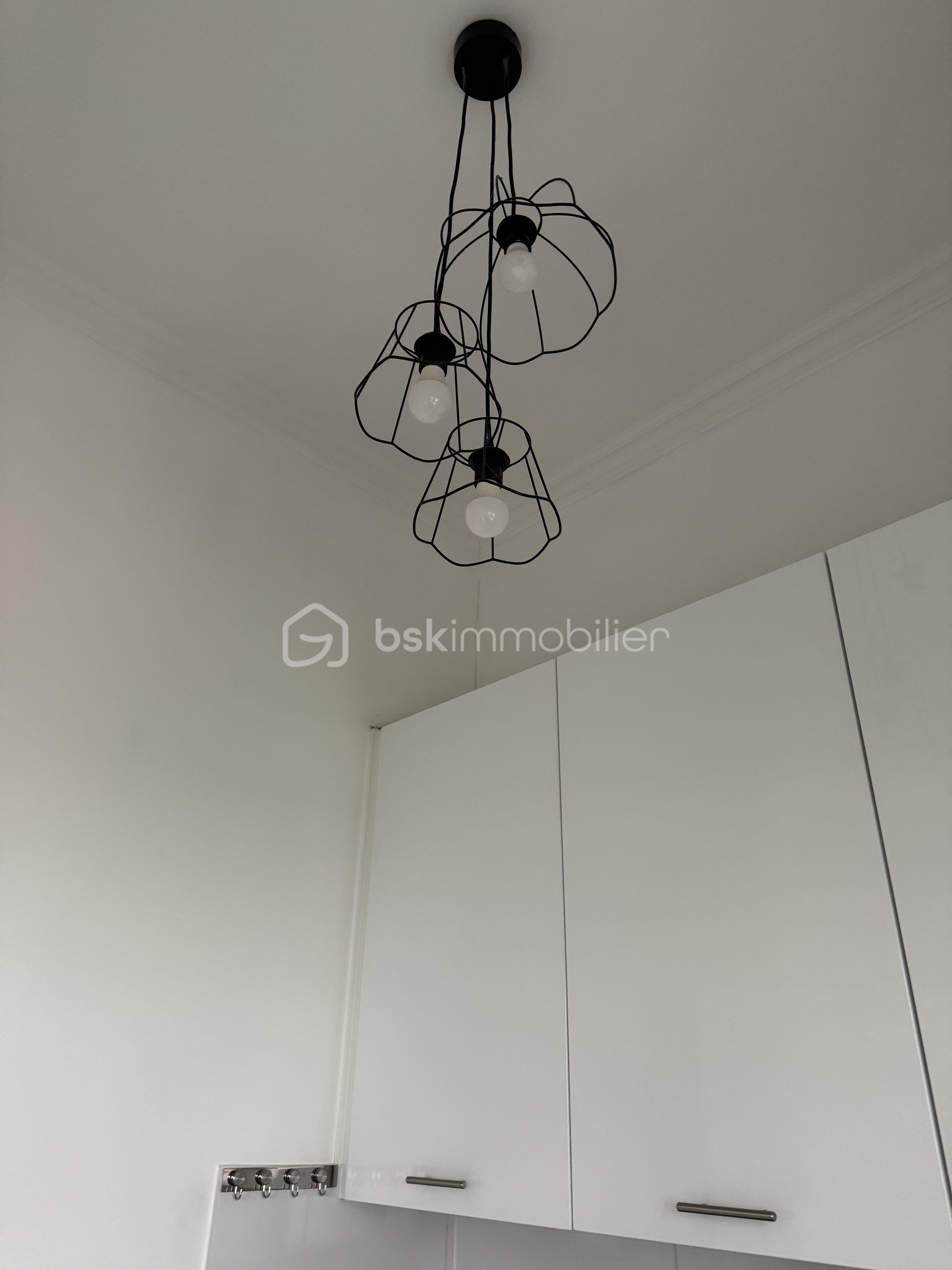 Appartement de 33 m² - IMG_1398.png