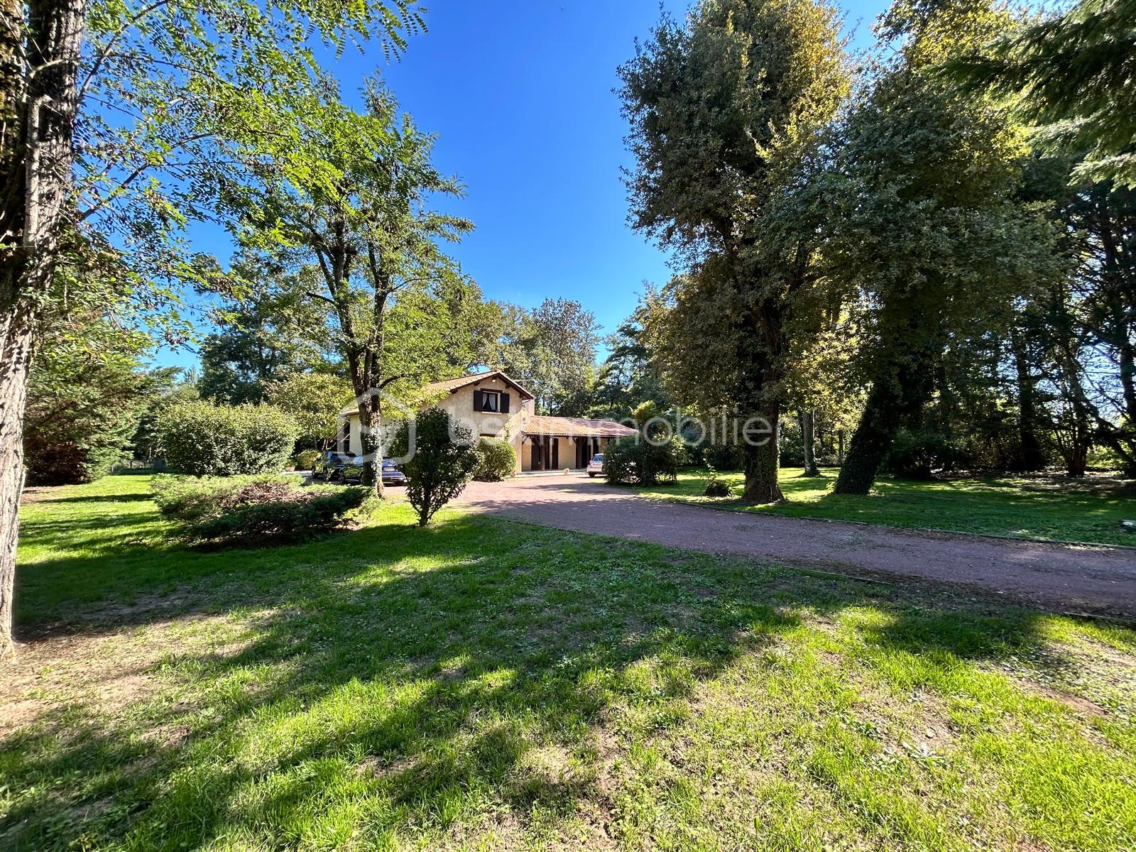Maison contemporaine de 208 m² - CH1.jpg