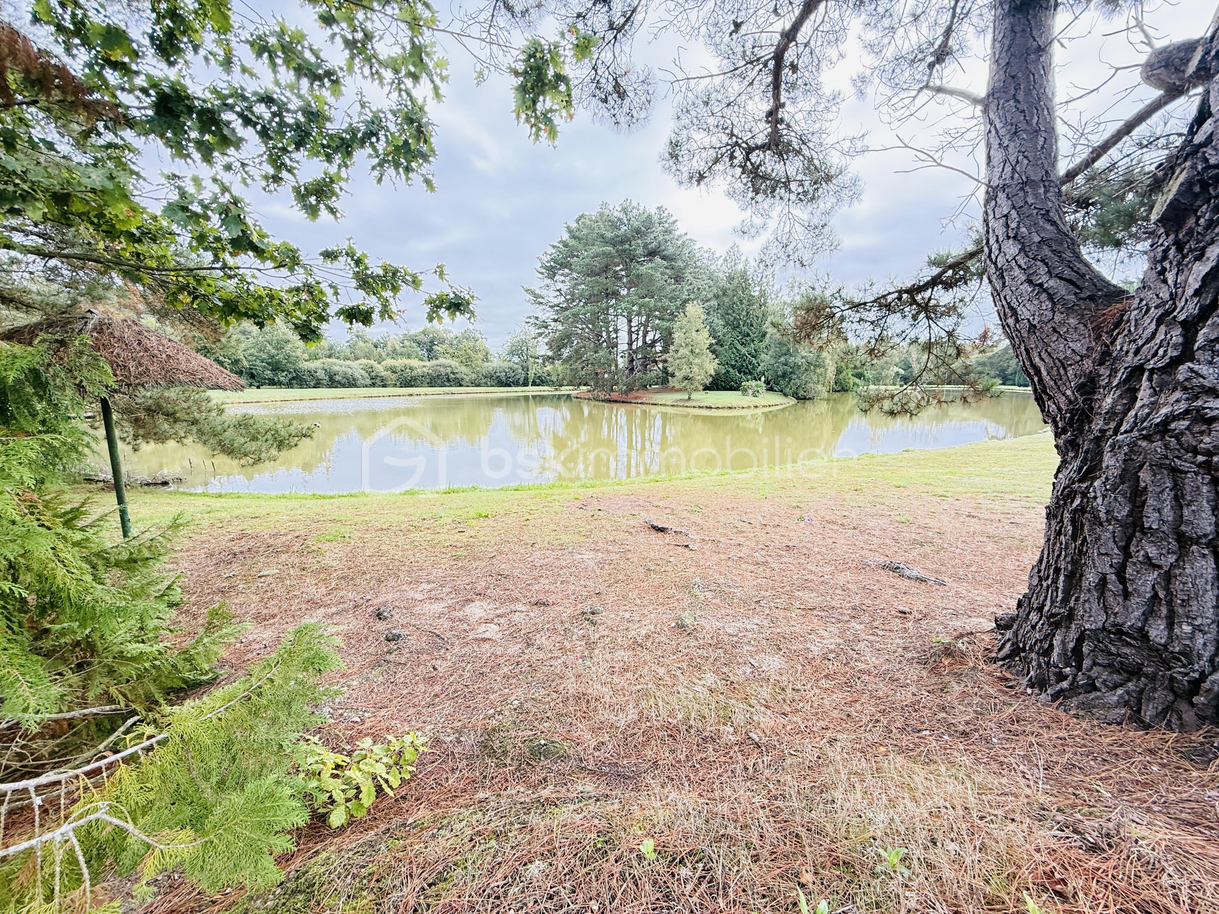 Domaine de 380 m² - IMG_7433.jpg