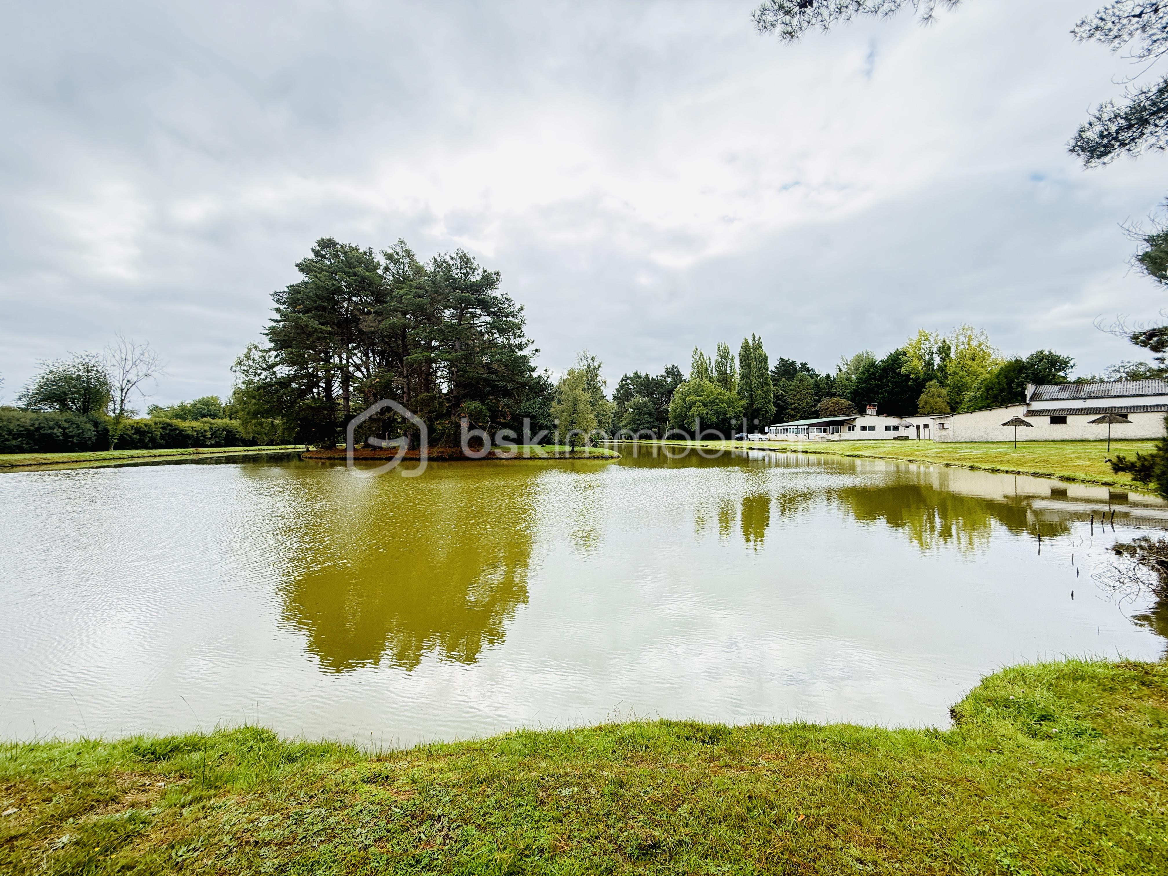 Domaine de 380 m² - IMG_7436.jpg