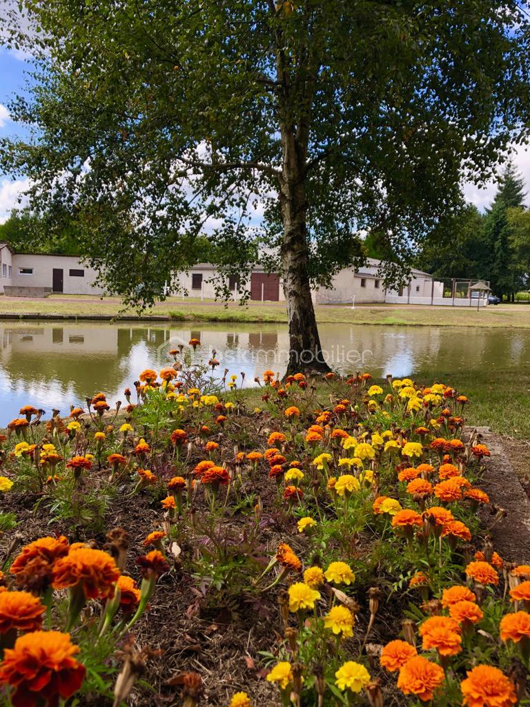 Domaine de 380 m² - 20190908_210556_a6537819-ac31-409d-8100-1c6aa4180a25.JPG