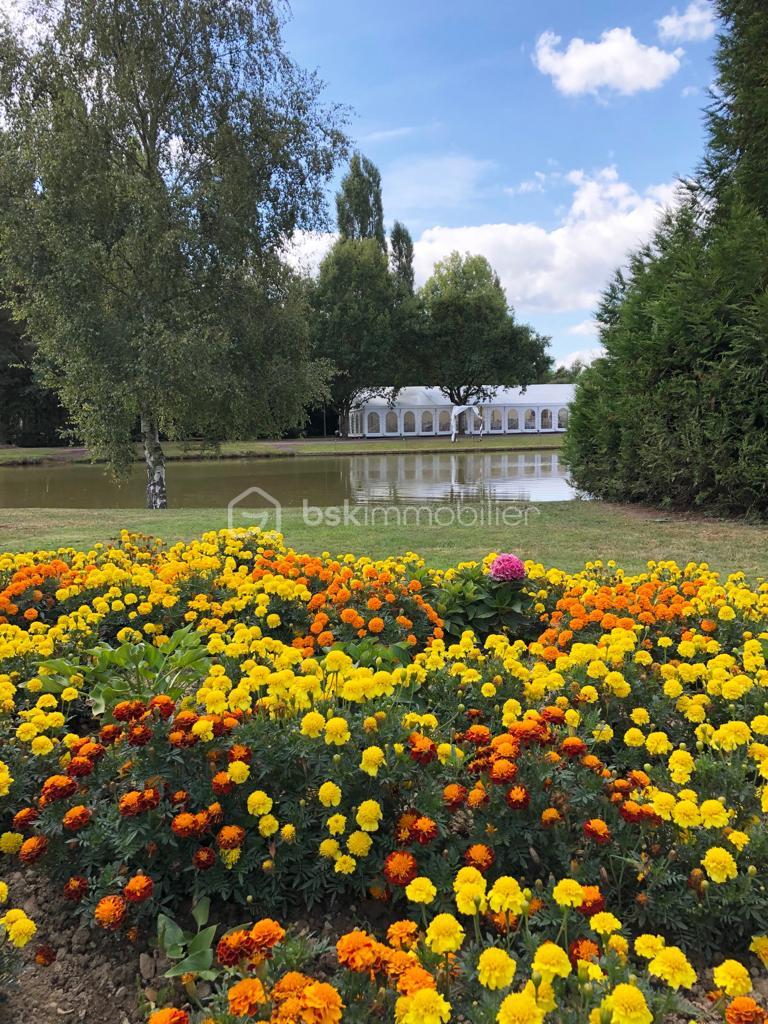 Domaine de 380 m² - 20190908_210558_cae05a42-3ec1-4e83-b798-e163cc0f53b8.JPG