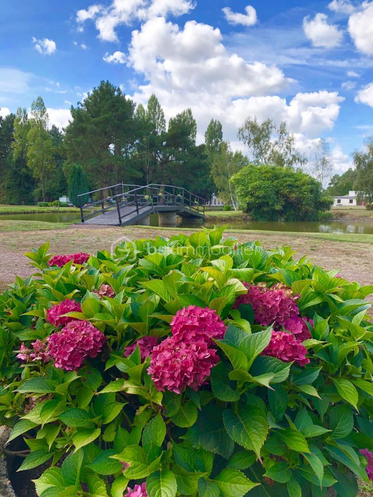 Domaine de 380 m² - 20190908_210600_d54572fc-8862-4332-80b3-5ee660236a36.JPG