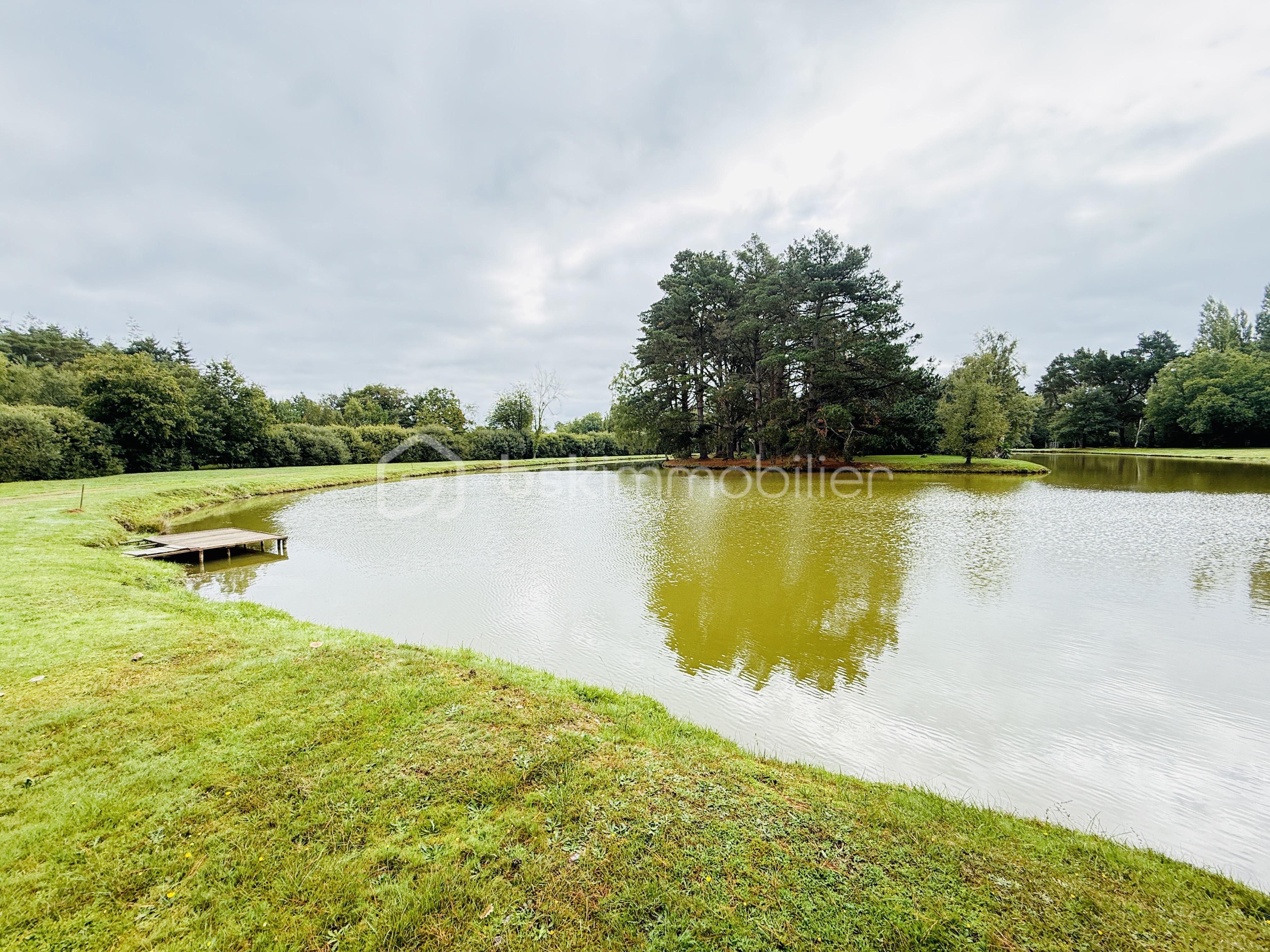 Domaine de 380 m² - IMG_7437.jpg