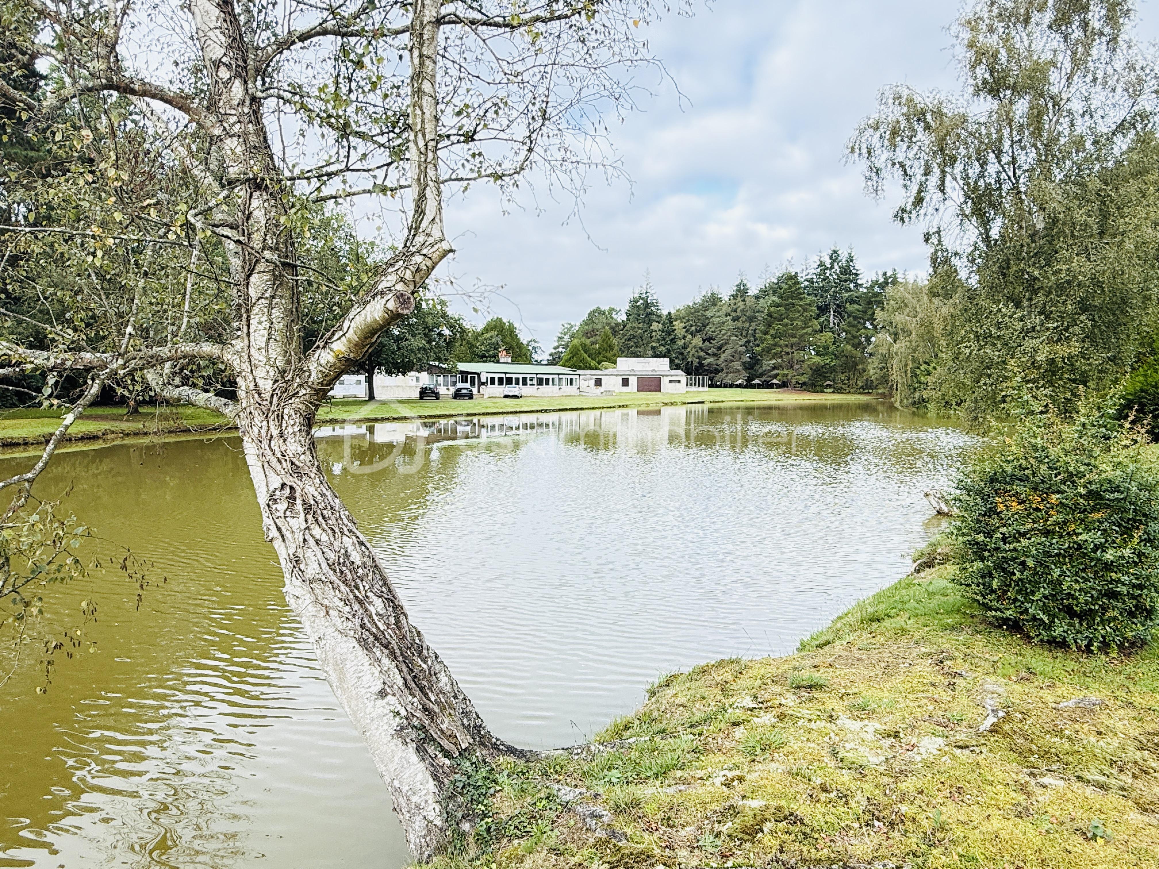 Domaine de 380 m² - IMG_7458.jpg