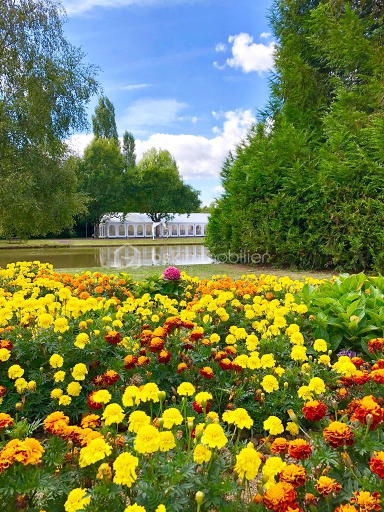Domaine de 380 m² - 20190908_210556_704f3084-c83b-4d38-9e35-5c1a238d62e2.JPG