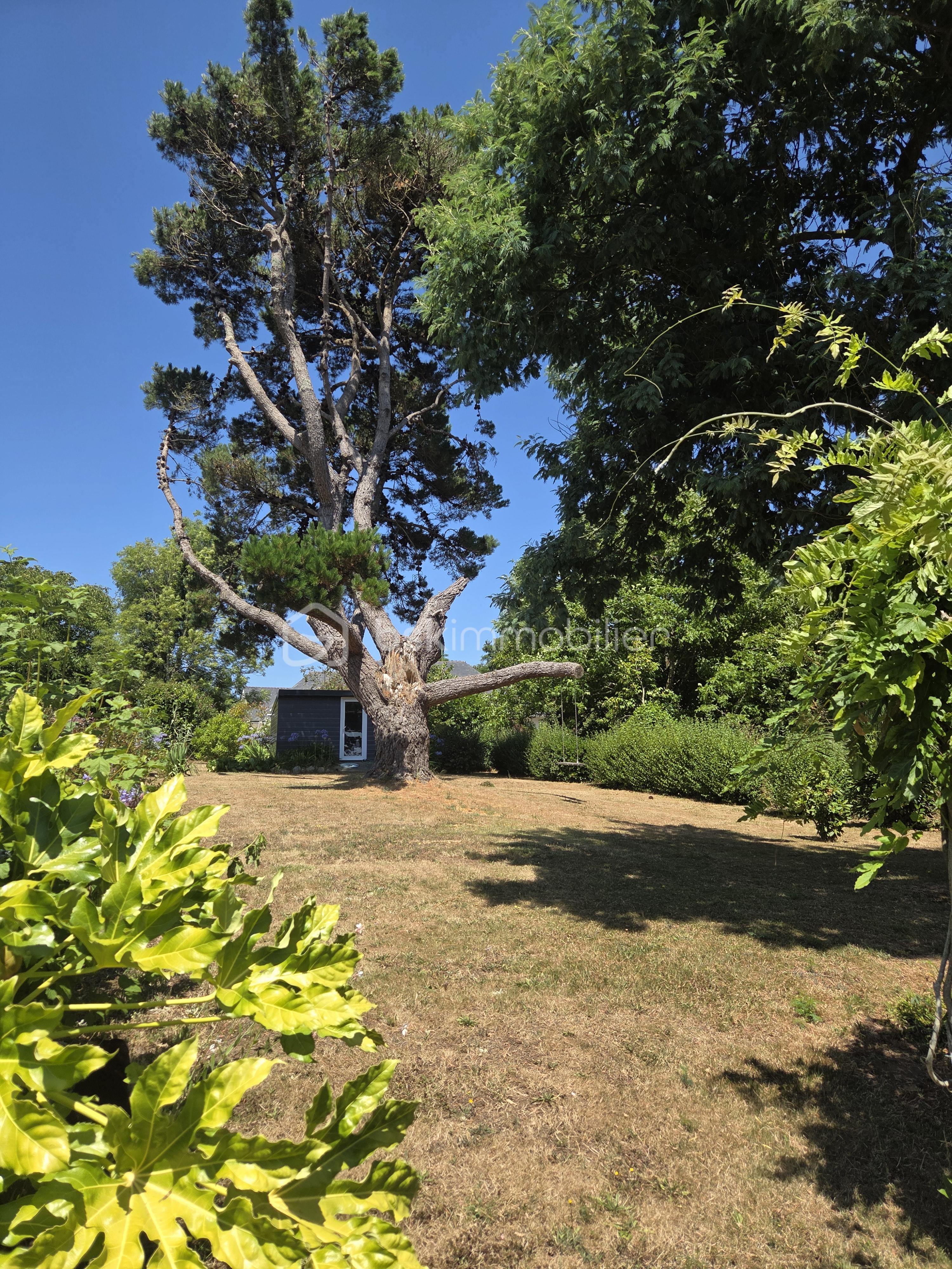 Maison de ville de 147 m² - 20250717_151254.jpg
