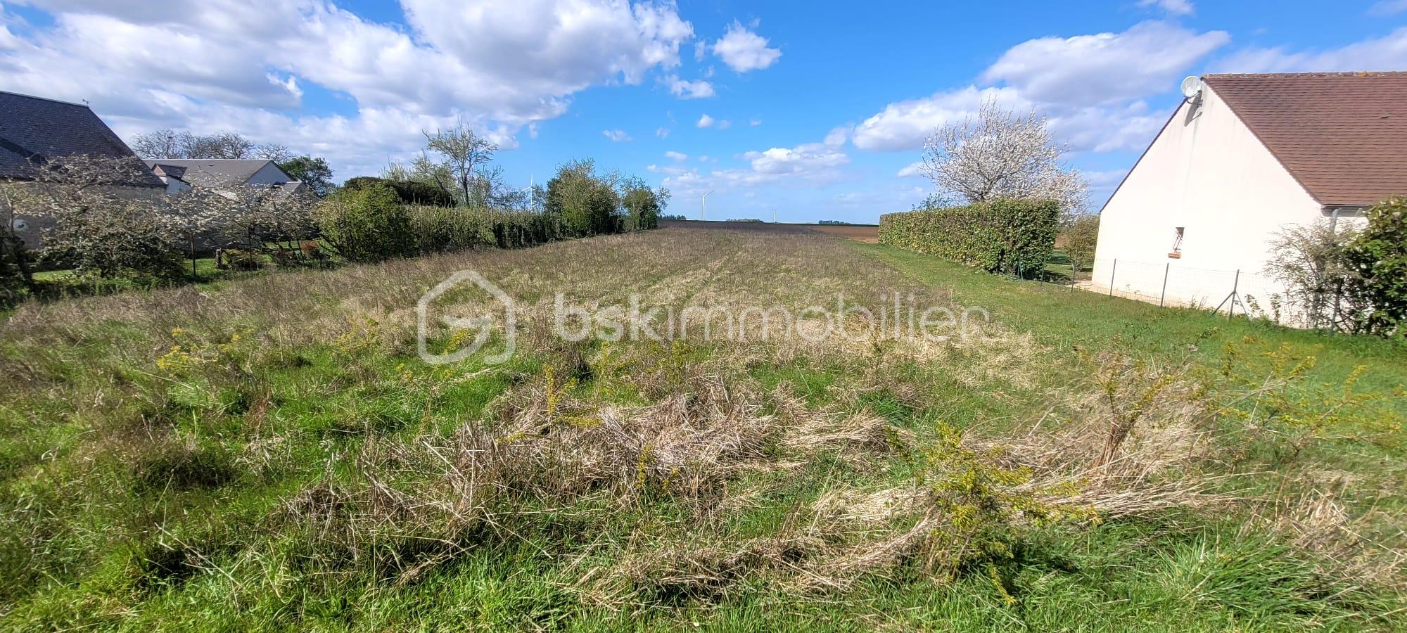 WhatsApp Image 2026-03-31 at 17.39.23.jpeg