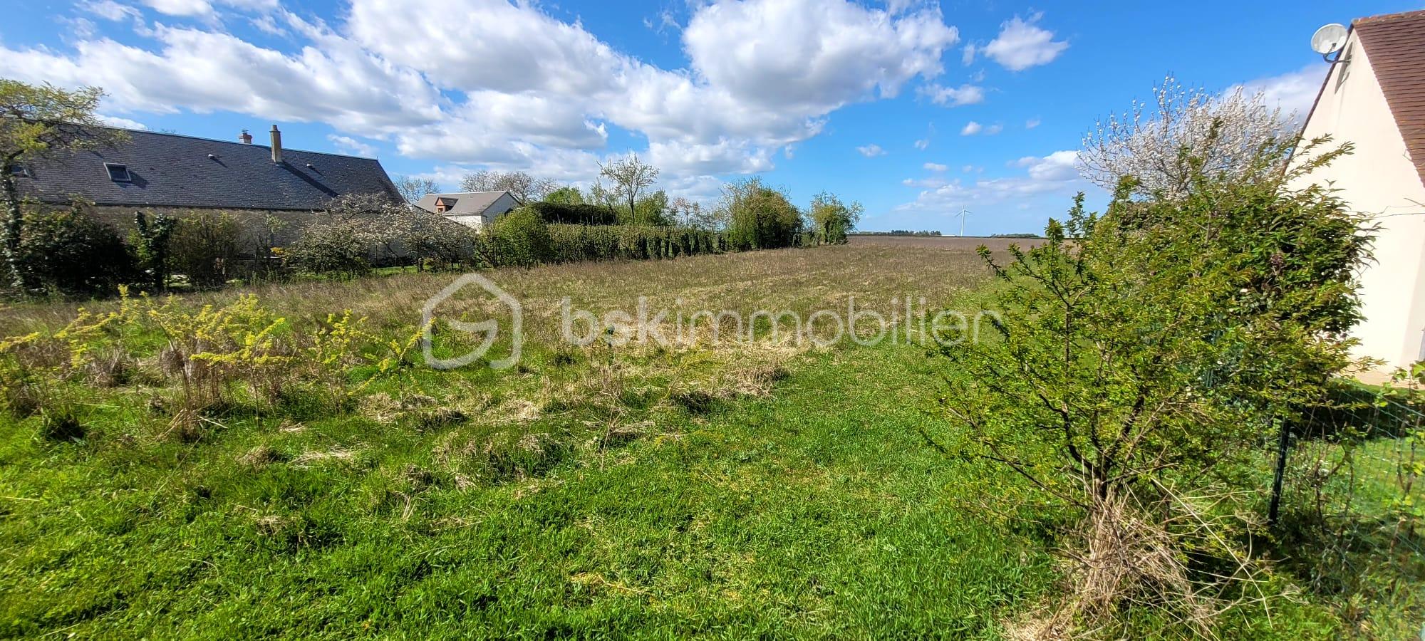 WhatsApp Image 2026-03-31 at 17.39.25.jpeg