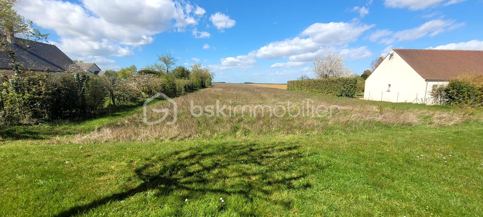 WhatsApp Image 2026-03-31 at 17.39.17.jpeg