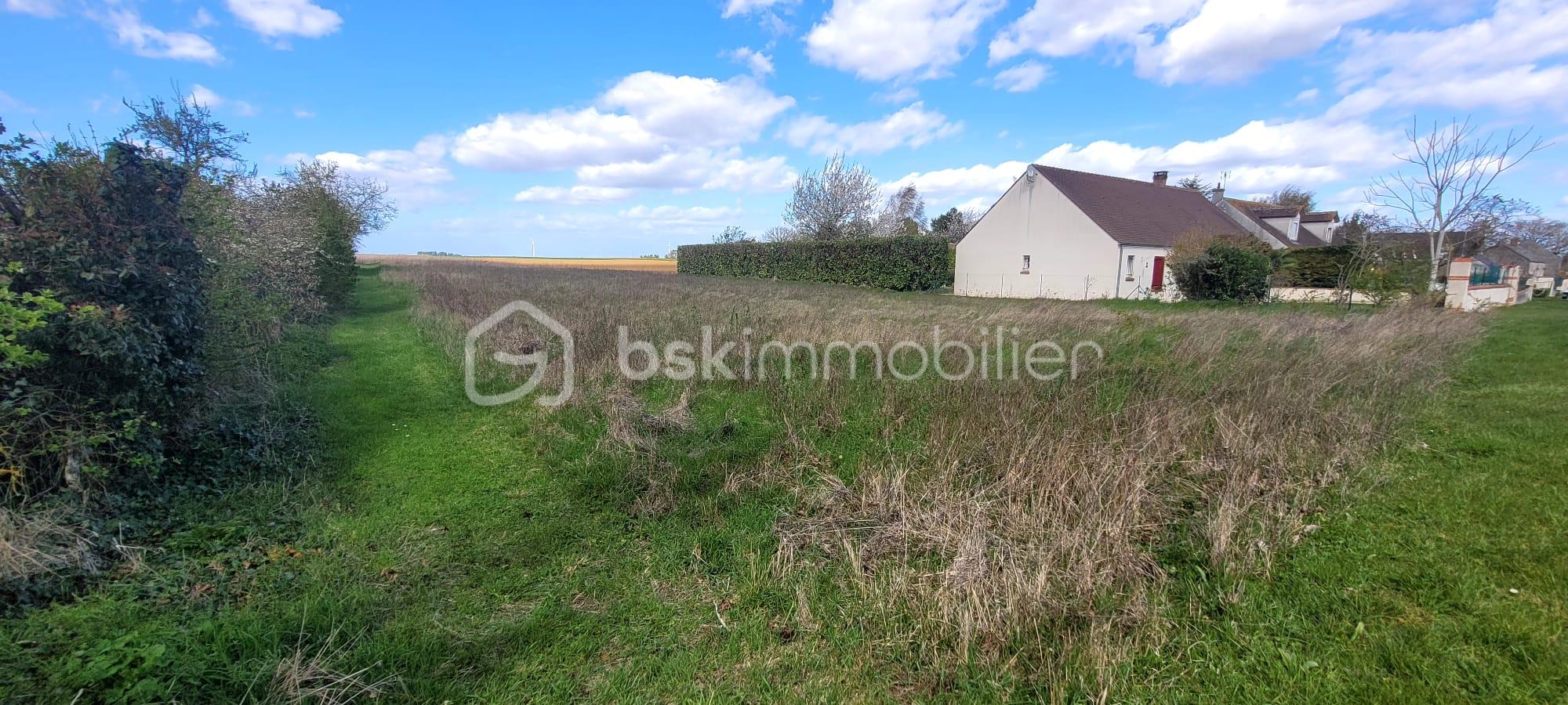 WhatsApp Image 2026-03-31 at 17.39.21 (1).jpeg