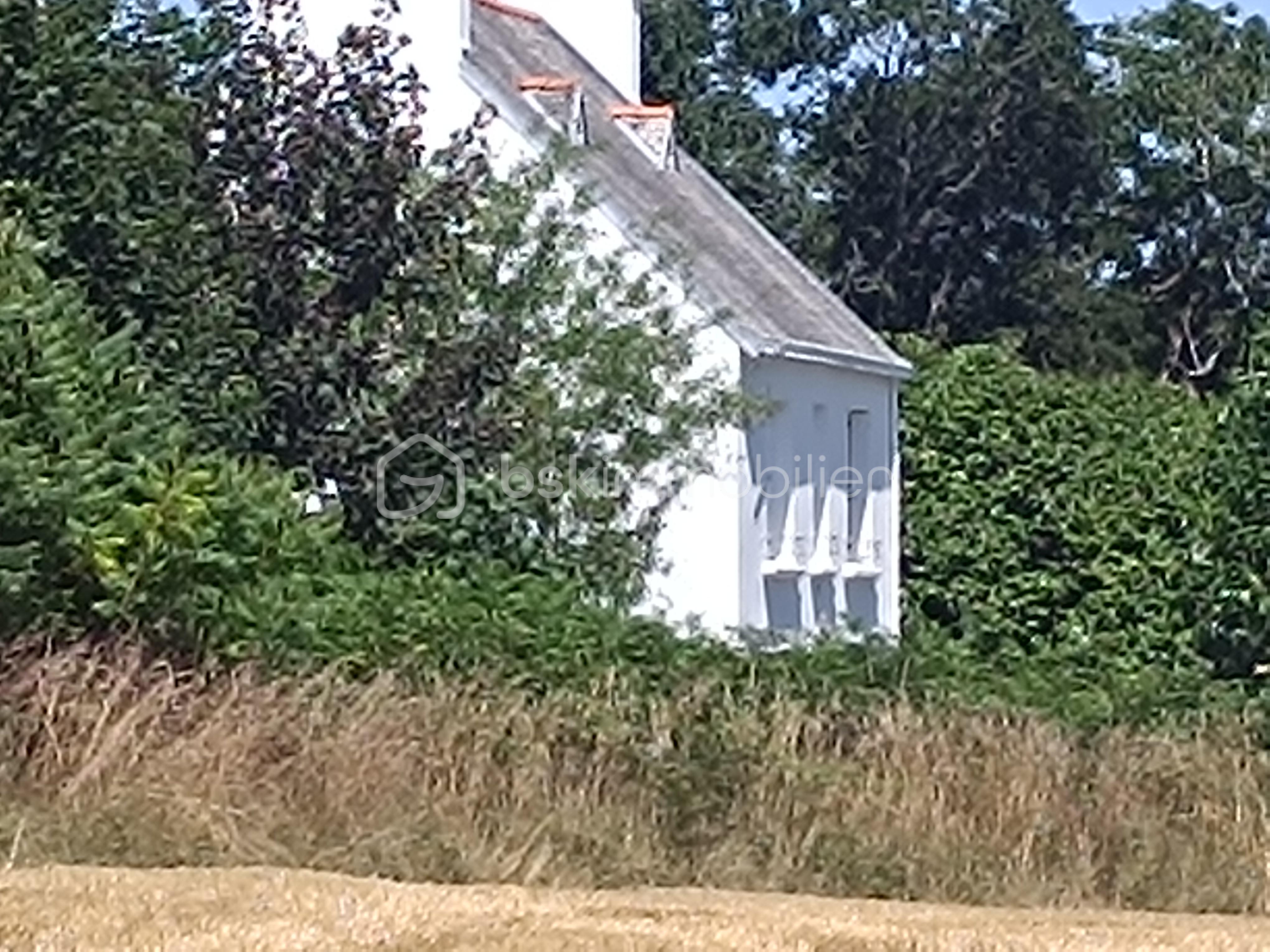 Maison traditionnelle de 108 m² - IMG_20250710_155826.jpg