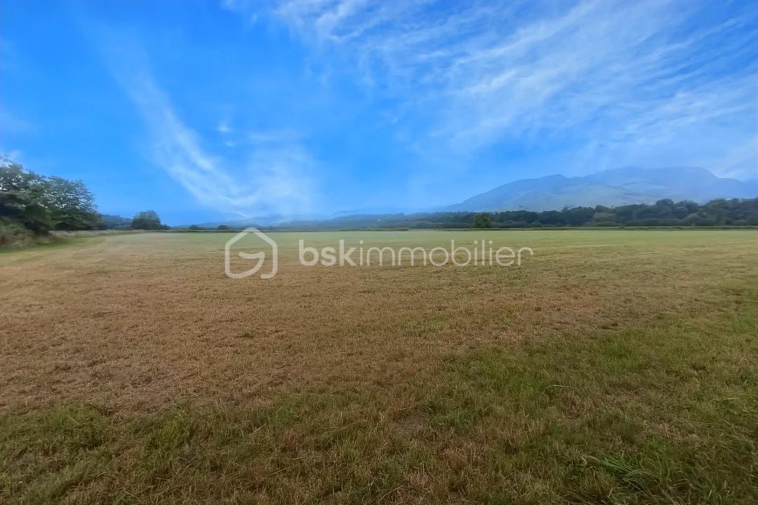 Terrain de 45 200 m² - hoqi-cdb12838bda847b6b5b8f9036b71a2b2.jpg
