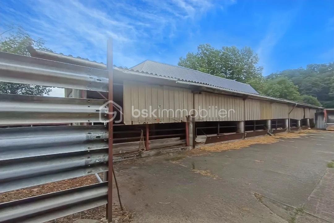 Terrain de 45 200 m² - hoqi-4badb610d3b947338b6e3be0f648a2c8.jpg