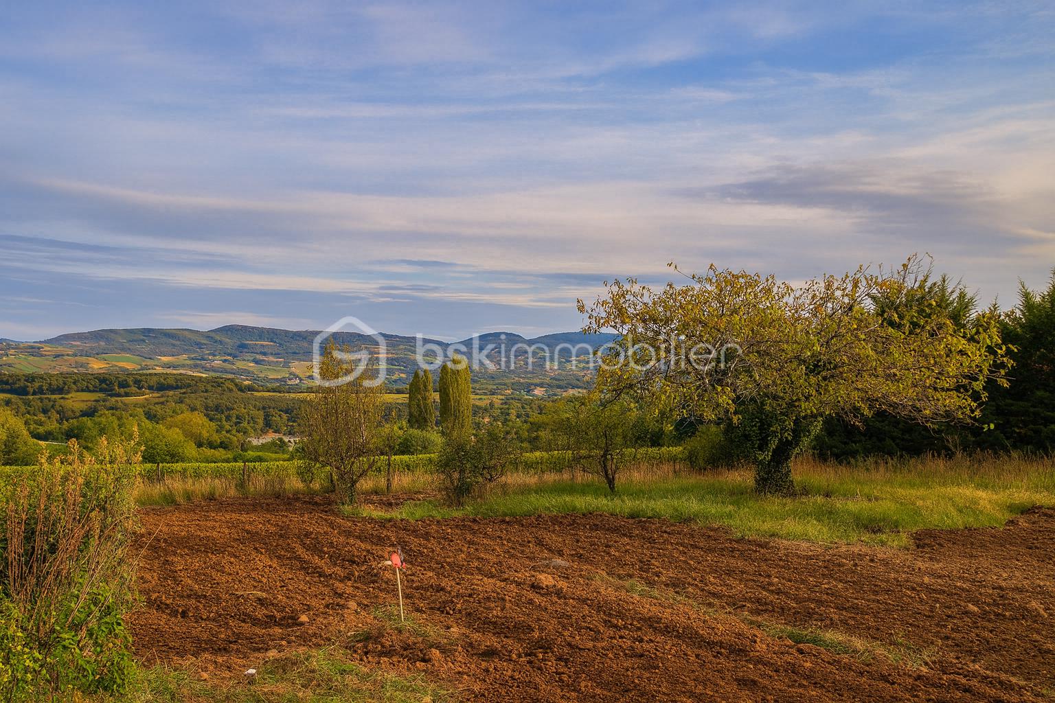 Terrain de 979 m² - ChatGPT Image 13 sept. 2025, 08_39_07.png