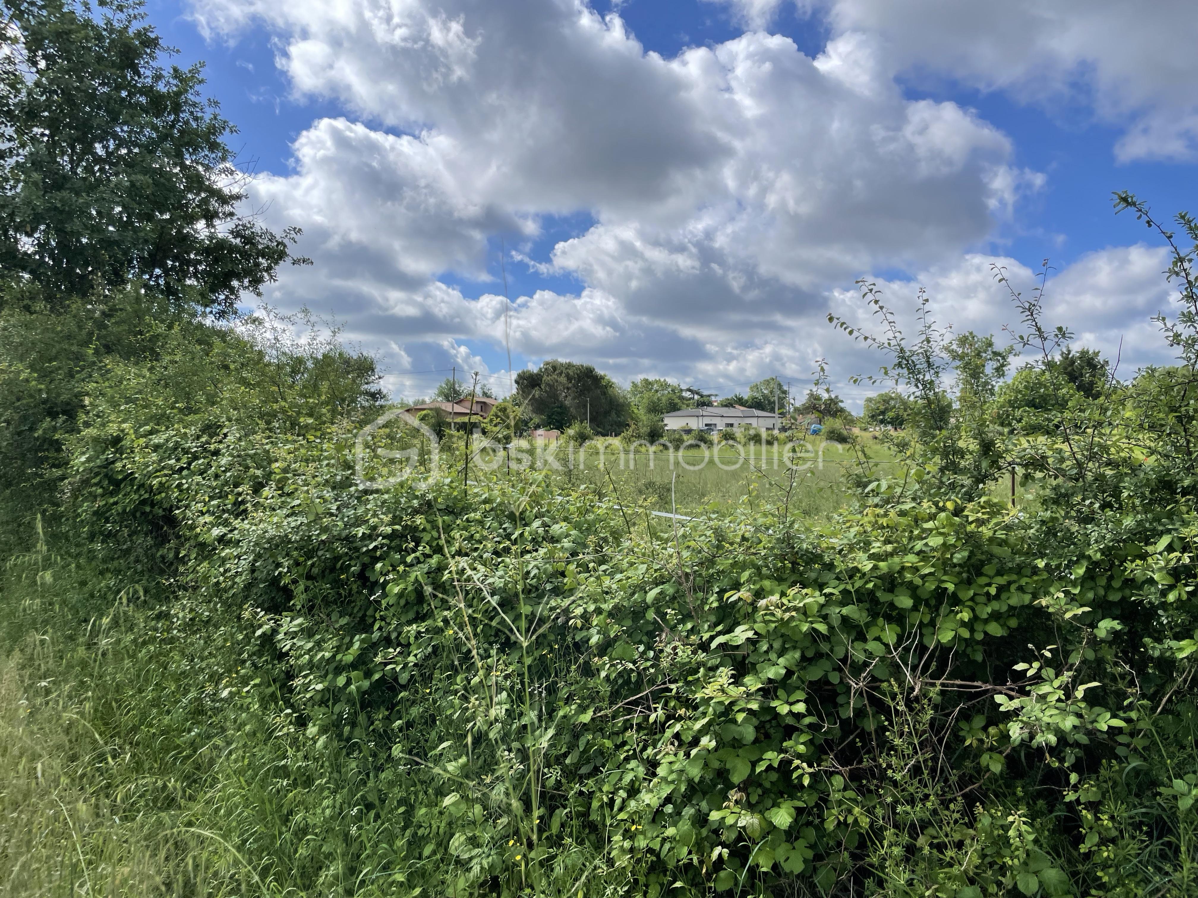 IMG_1857.jpeg