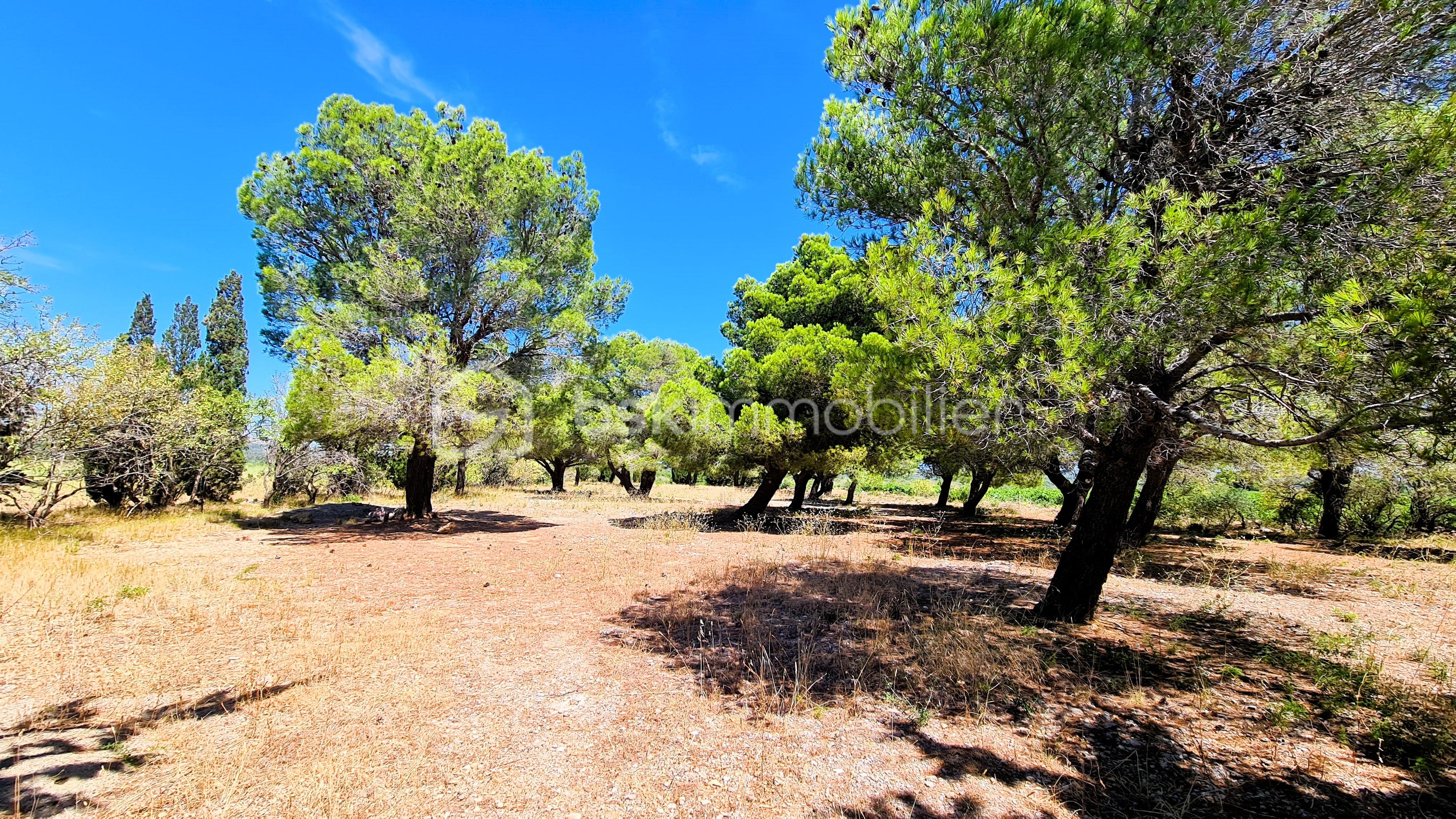 Demeure de 248 m² - 20250722_120128-min.jpg