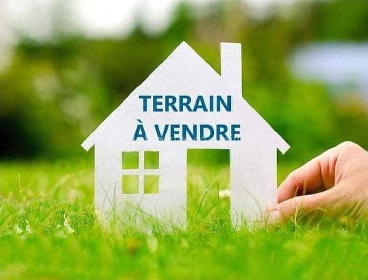 Annonce - photo 1.jpg