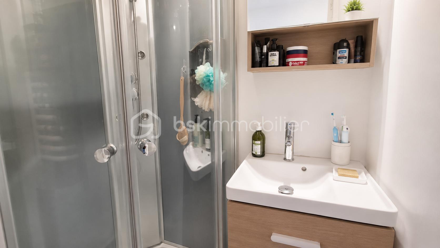DEBORAH BENOIT BSK IMMOBILIER LAGNY SUR MARNE 7.png