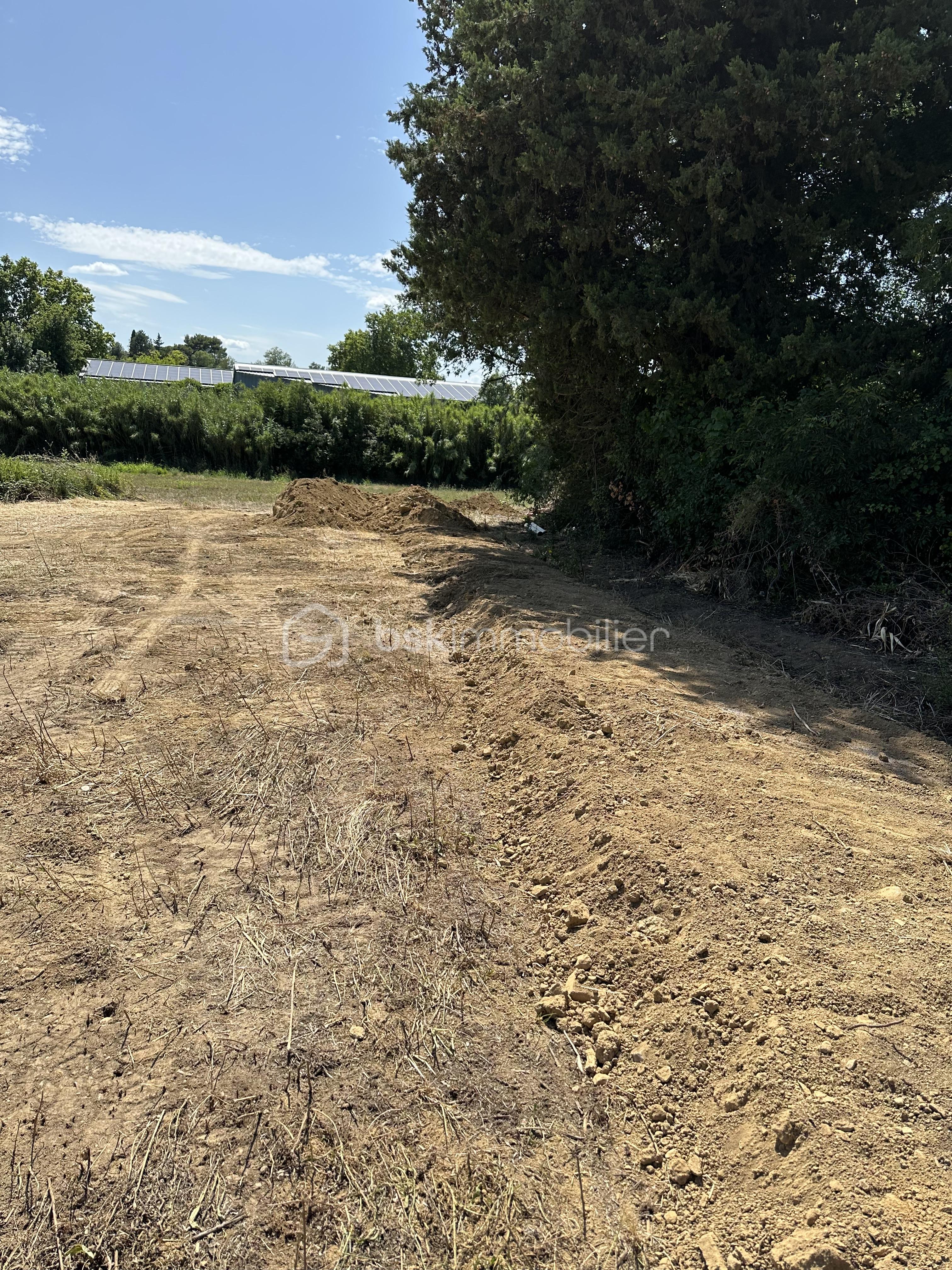 Lotissement de 5 152 m² - IMG_2770.jpeg