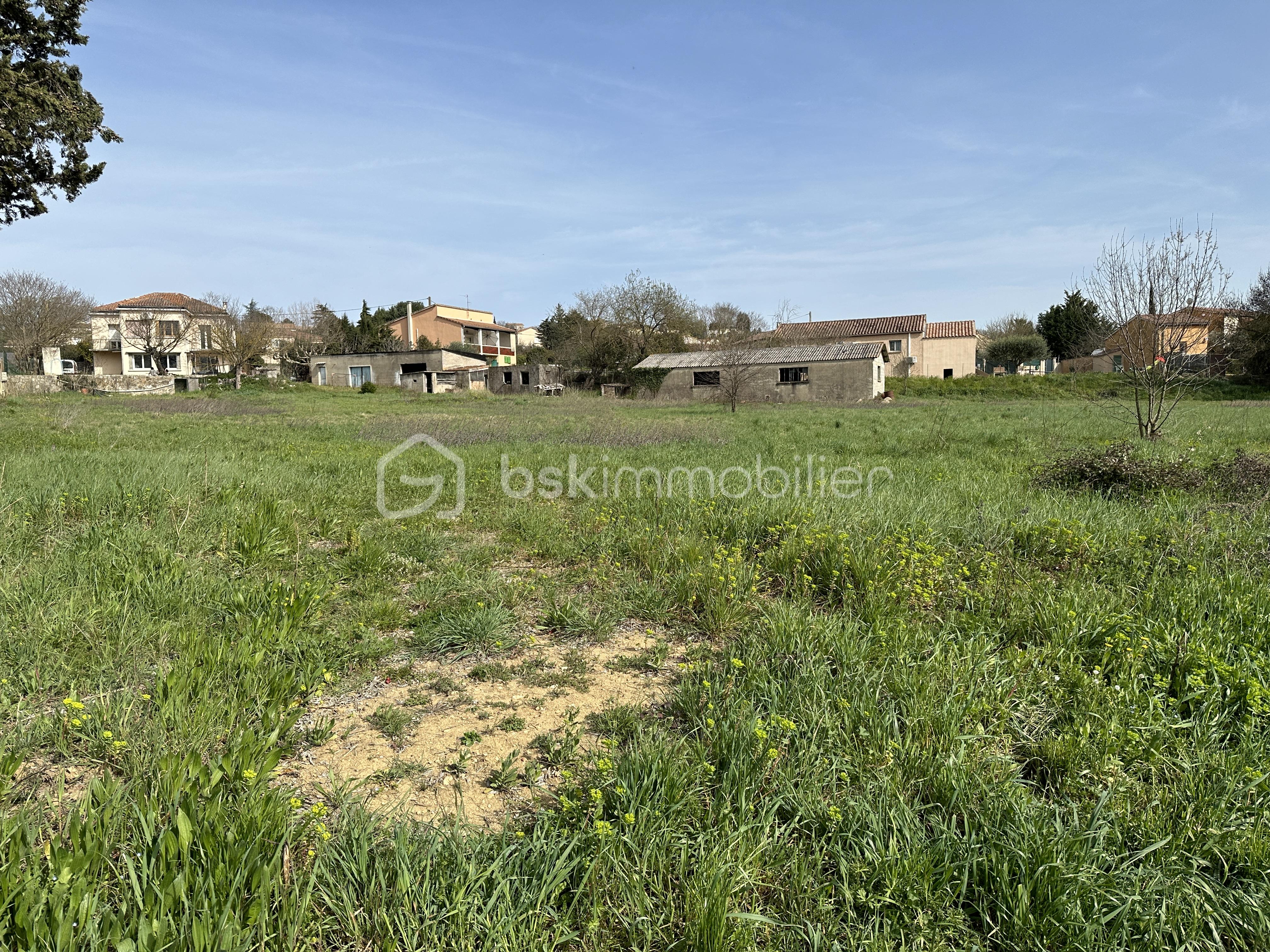 Lotissement de 5 152 m² - IMG_1985.jpeg