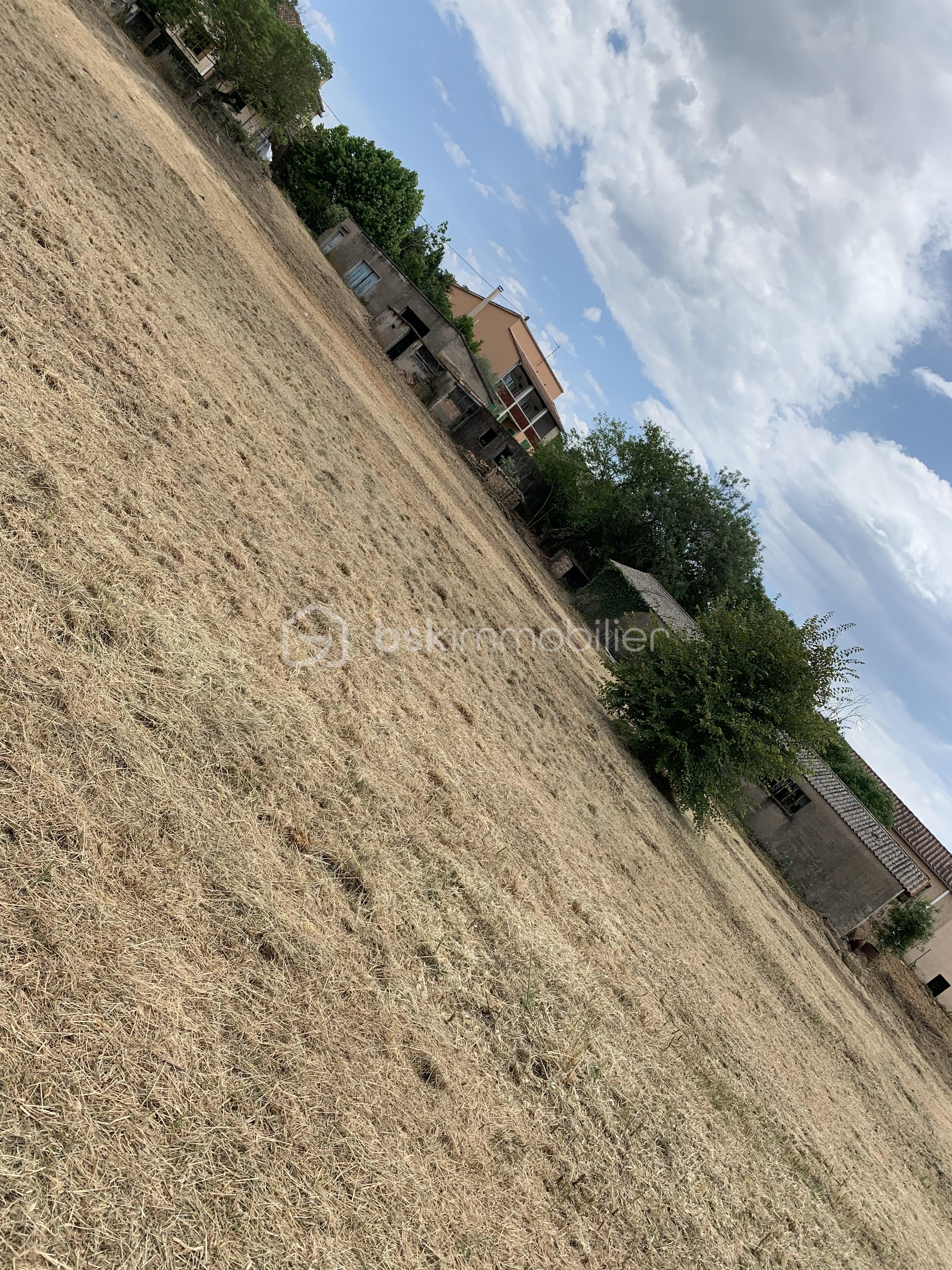 Lotissement de 5 152 m² - 67568700519__77612D92-D417-4DE9-885F-84C106361A3E.jpeg