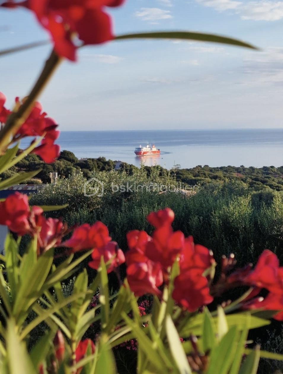 b6390ae5-f069-4a54-8aa0-5f4845a5eb49.jpg