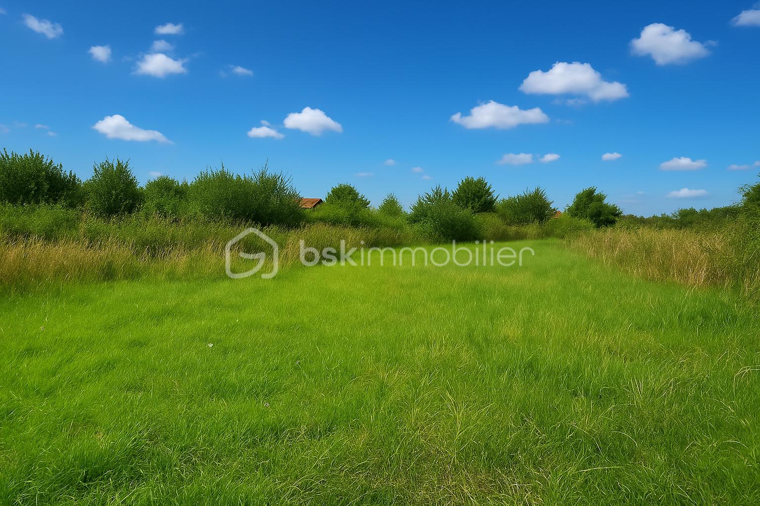 Terrain de 650 m² - terrain 850m²-1.png