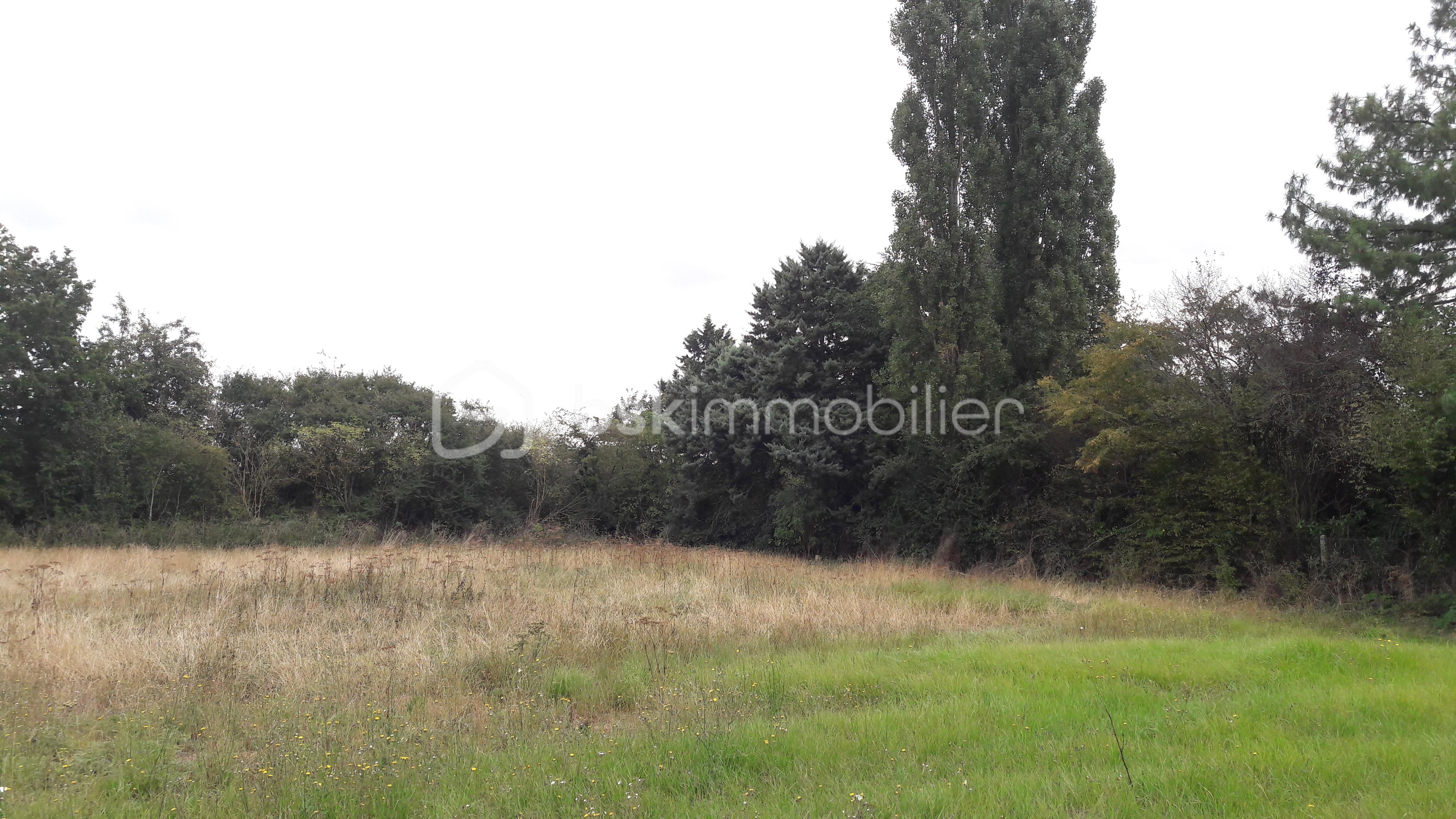 Terrain de 650 m² - 650m² 2.jpg
