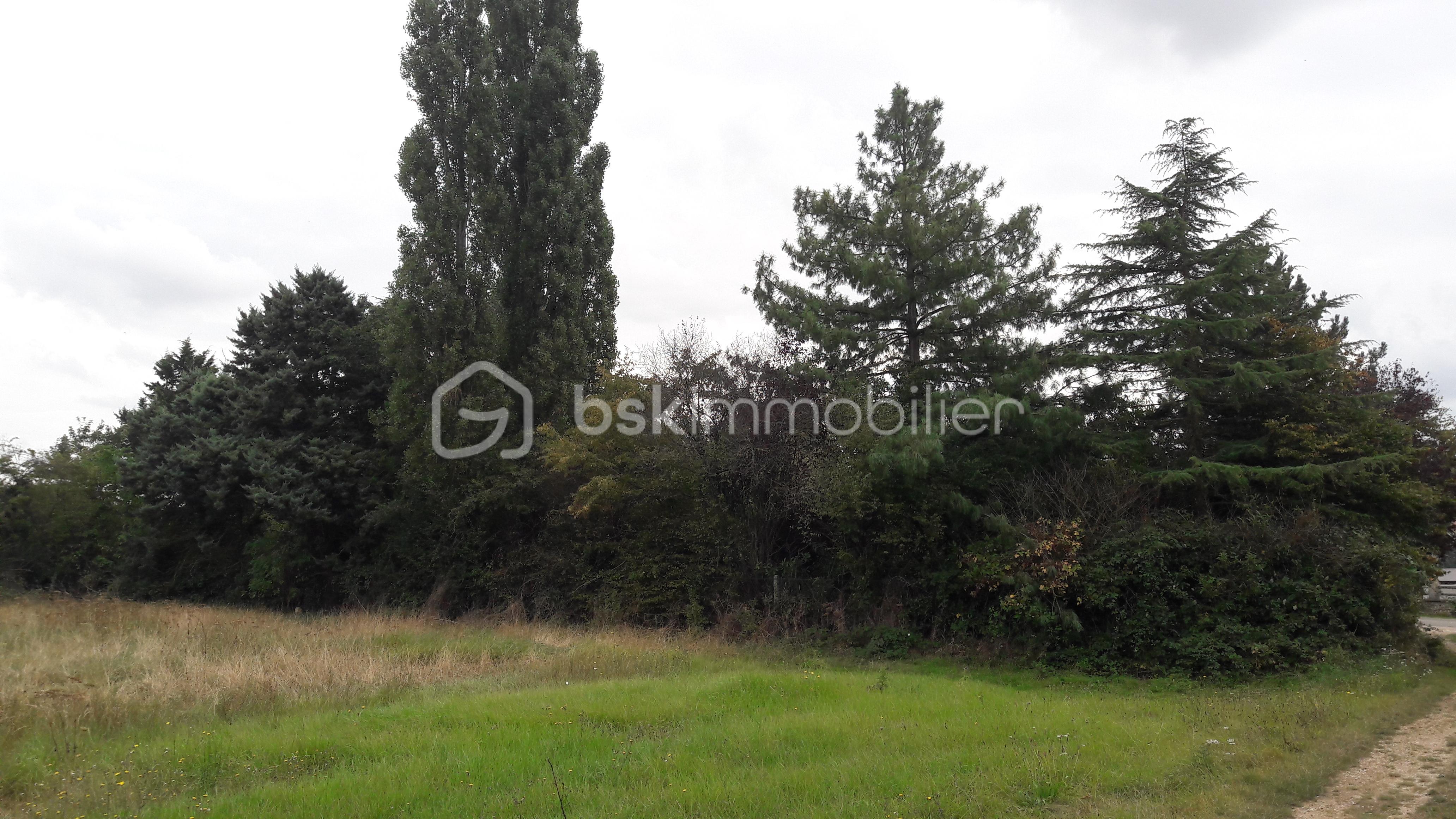 Terrain de 650 m² - 650m² 1.jpg