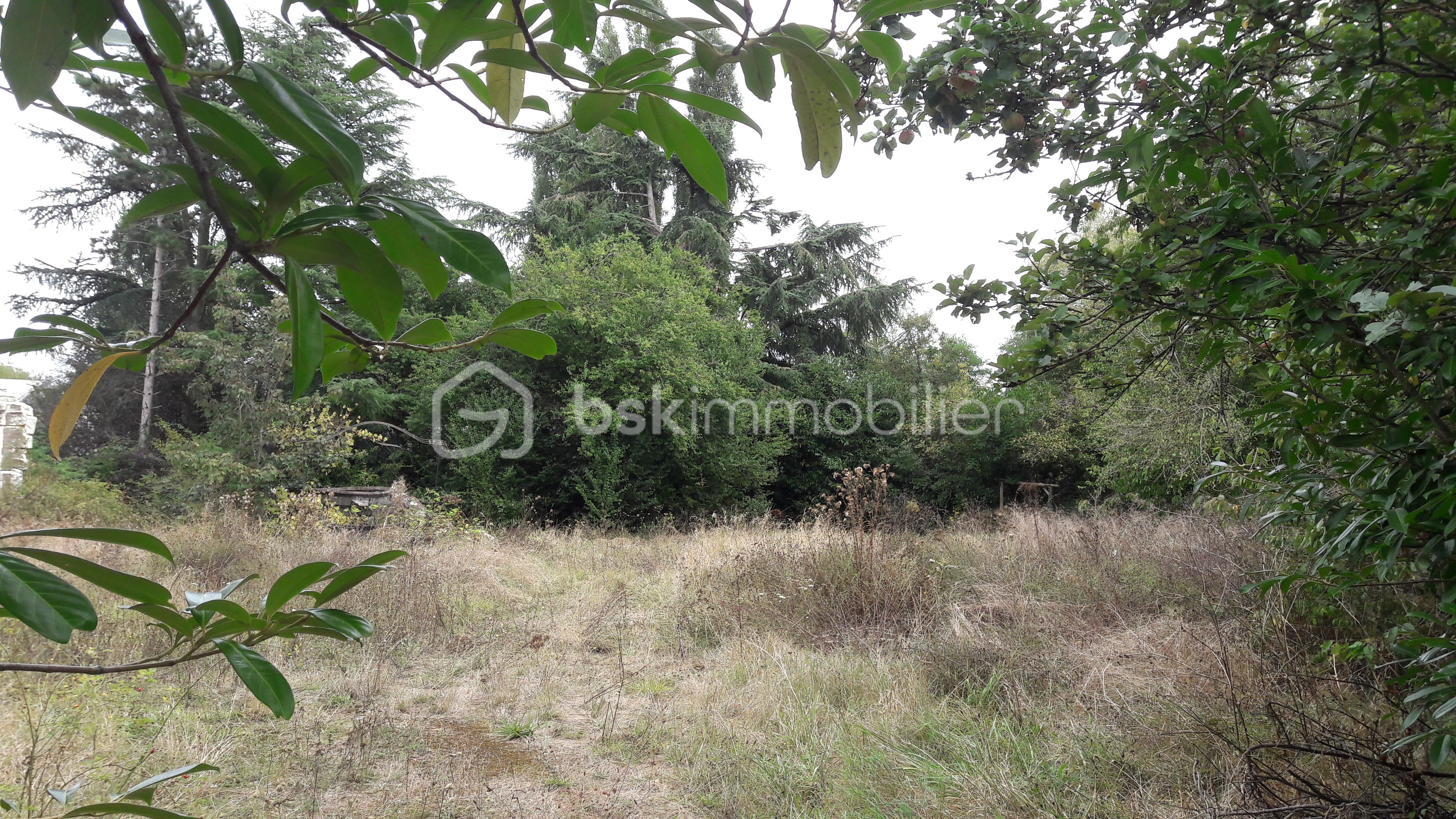 Terrain de 650 m² - 650m² 3.jpg