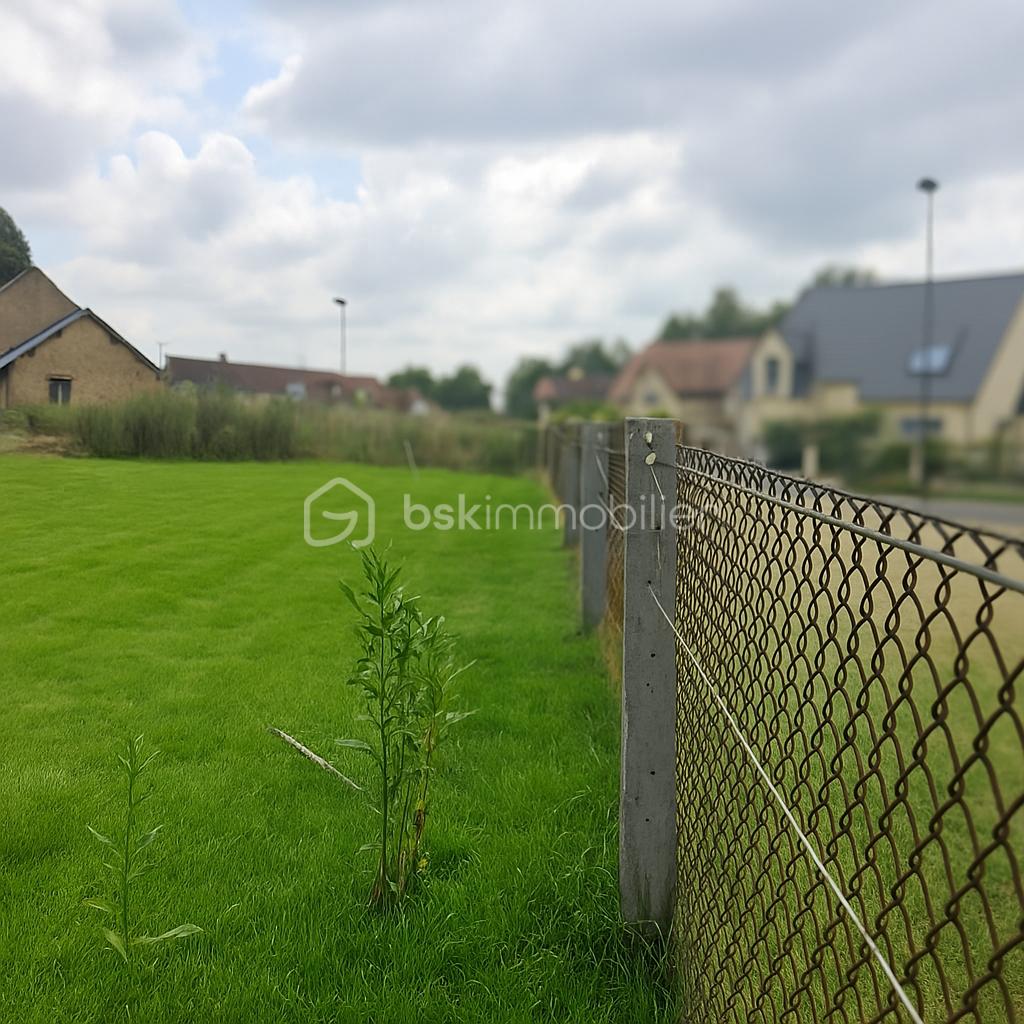 Terrain de 650 m² - 650m²-3.png