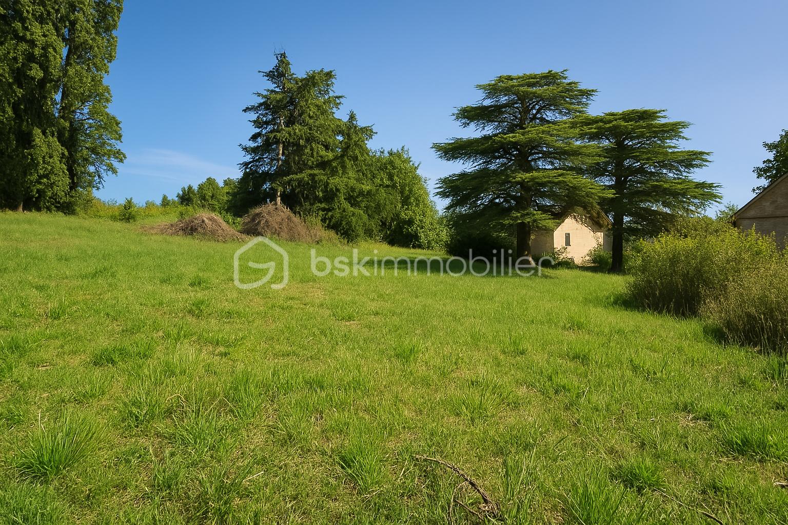 Terrain de 650 m² - 850m²-4.png