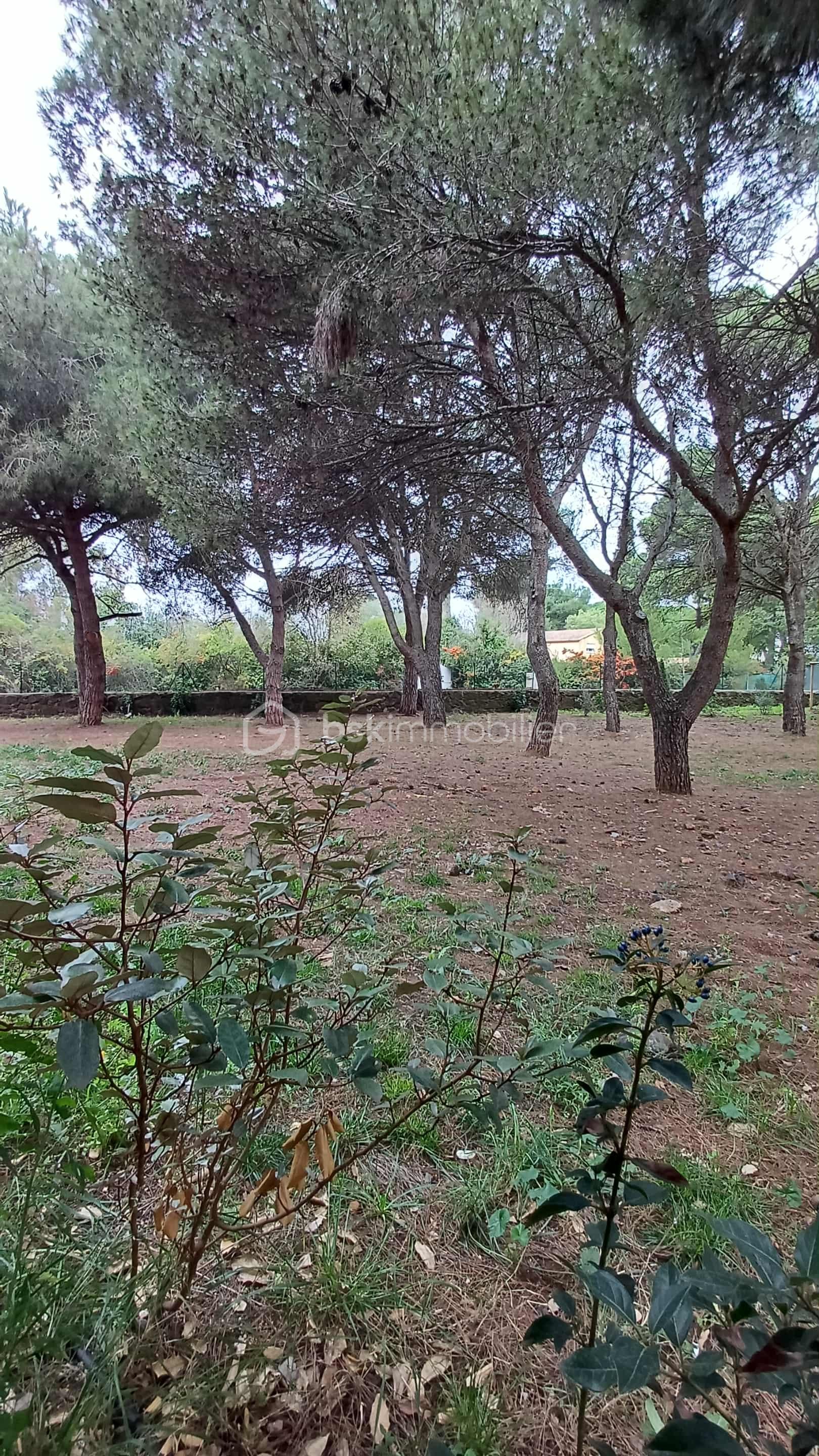 Appartement de 40 m² - c74b330f-d388-4ac7-9a06-dfd3a83fd394.jpeg