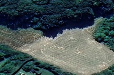 Terrain de loisirs de 1 934 m² - Parcelle ZE 0104..jpg